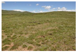 Remotesensing 15 03174 i006