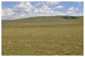 Remotesensing 15 03174 i007