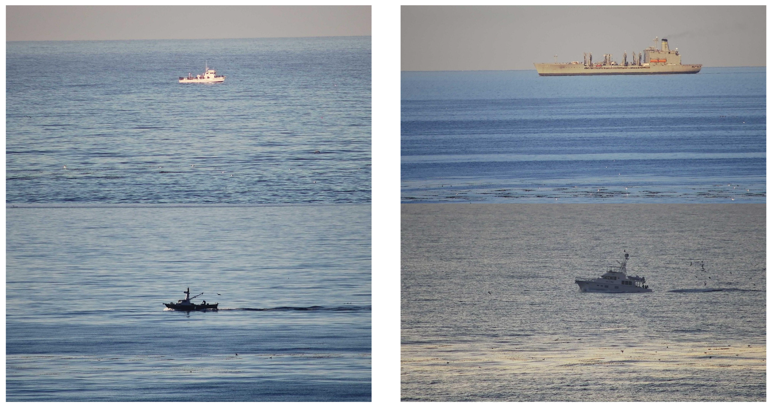 Remotesensing 15 03216 g009