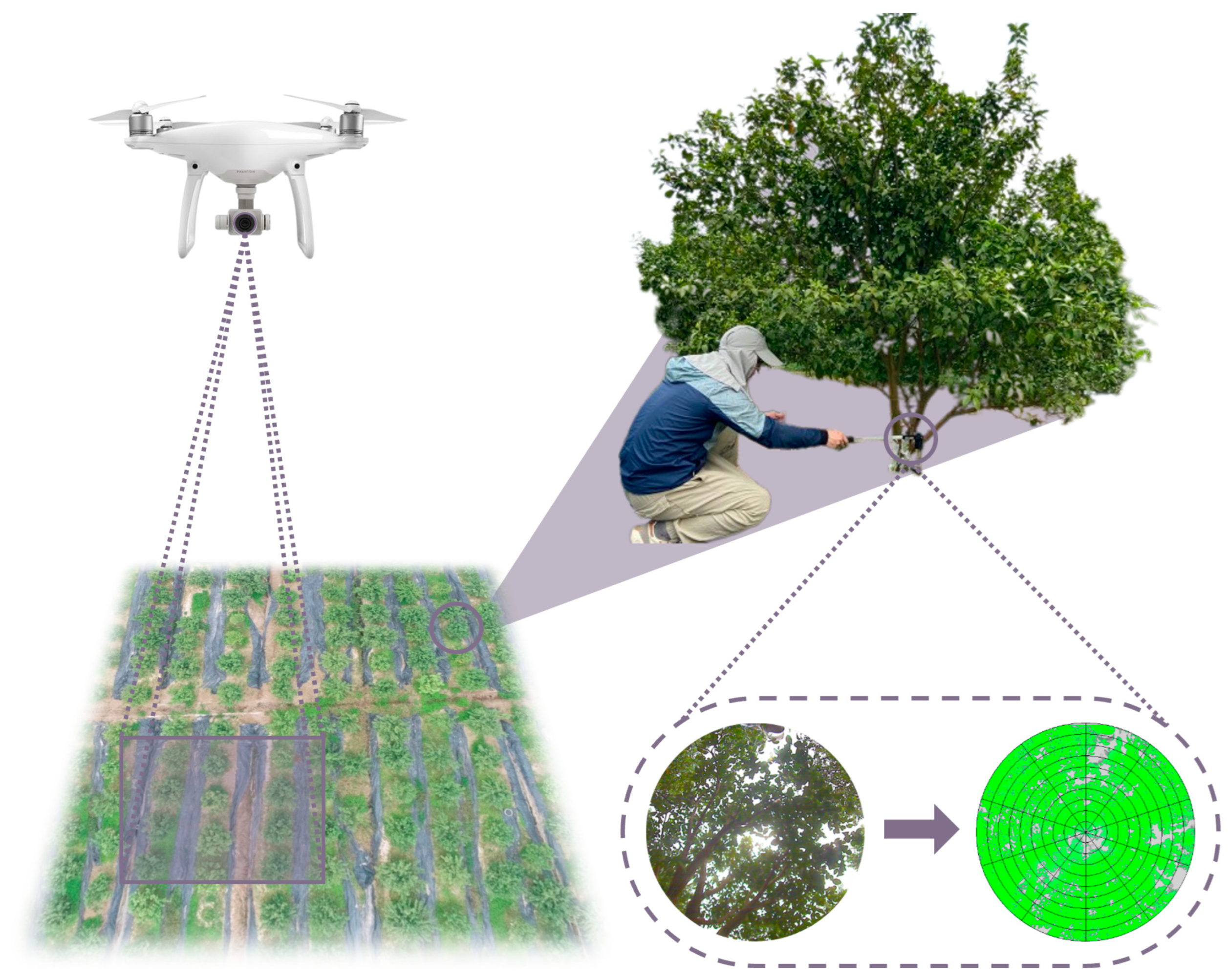 Remotesensing 15 03523 g002 Remotesensing 15 03523 g002