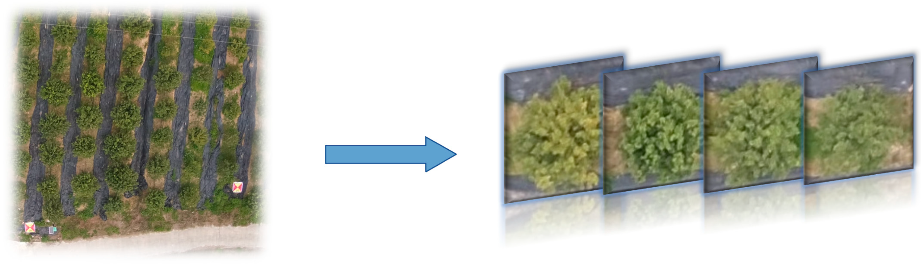 Remotesensing 15 03523 g004 Remotesensing 15 03523 g004