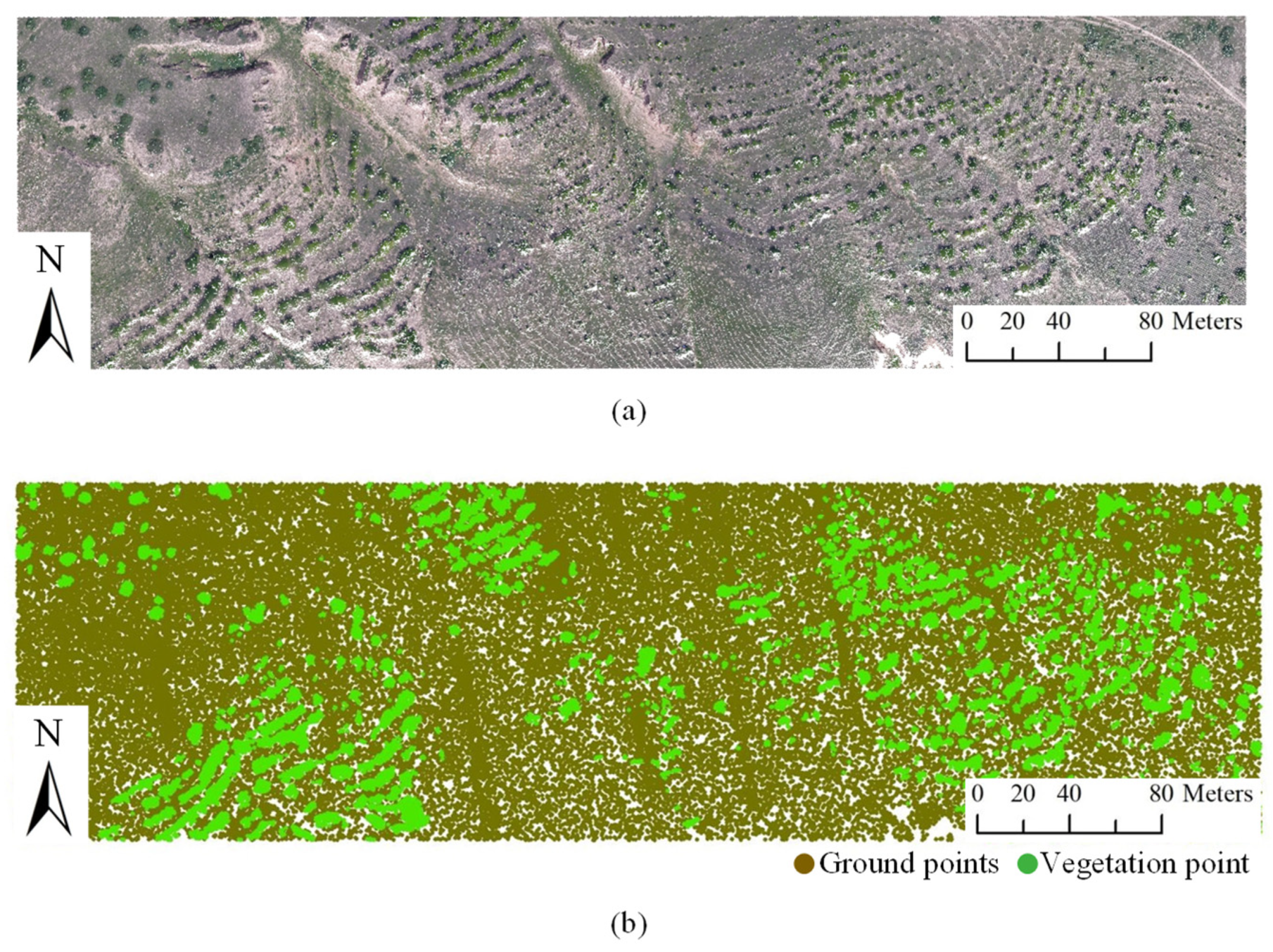 Remotesensing 15 03569 g006 Remotesensing 15 03569 g006