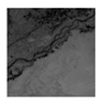 Remotesensing 15 03617 i009 Remotesensing 15 03617 i009