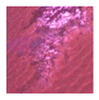 Remotesensing 15 03617 i016 Remotesensing 15 03617 i016