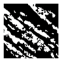 Remotesensing 15 03617 i024 Remotesensing 15 03617 i024