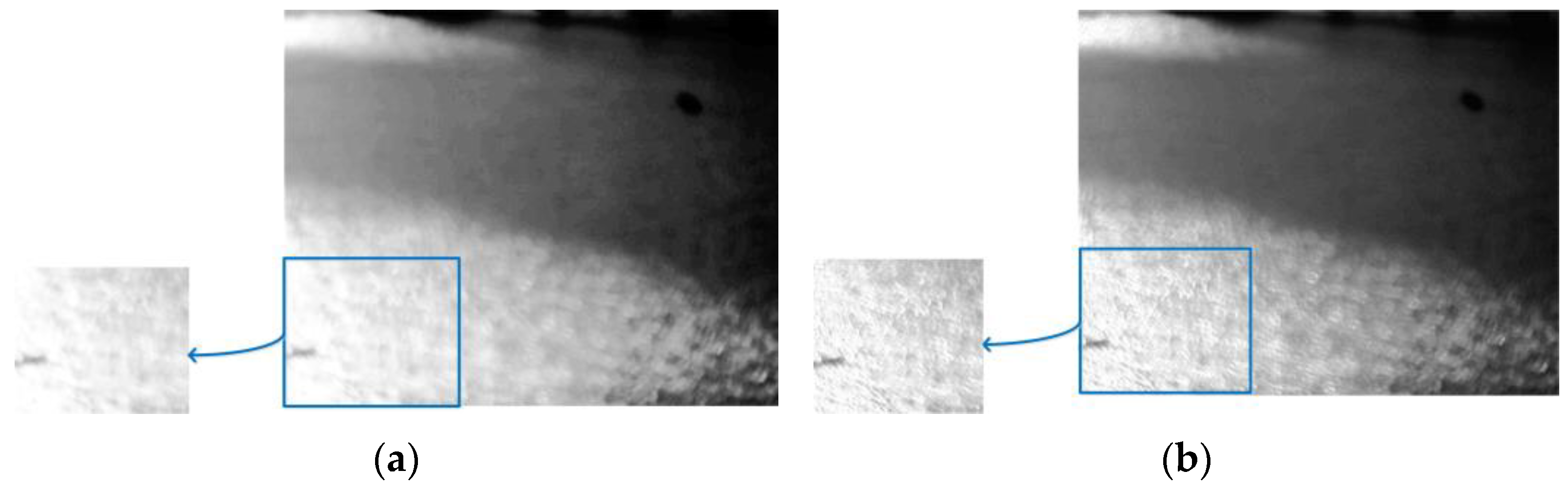 Remotesensing 15 03623 g005