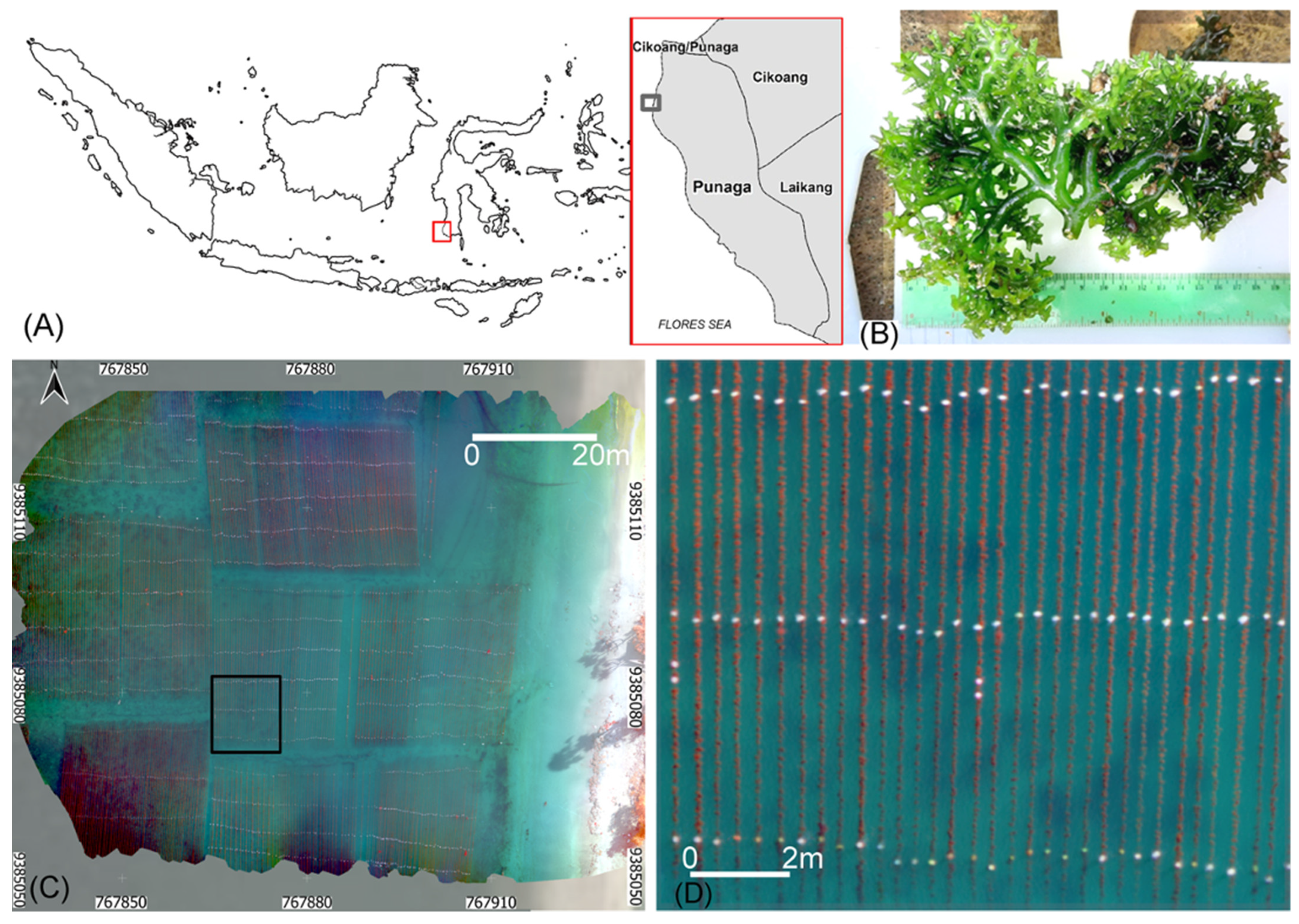 Remotesensing 15 03674 g001 Remotesensing 15 03674 g001