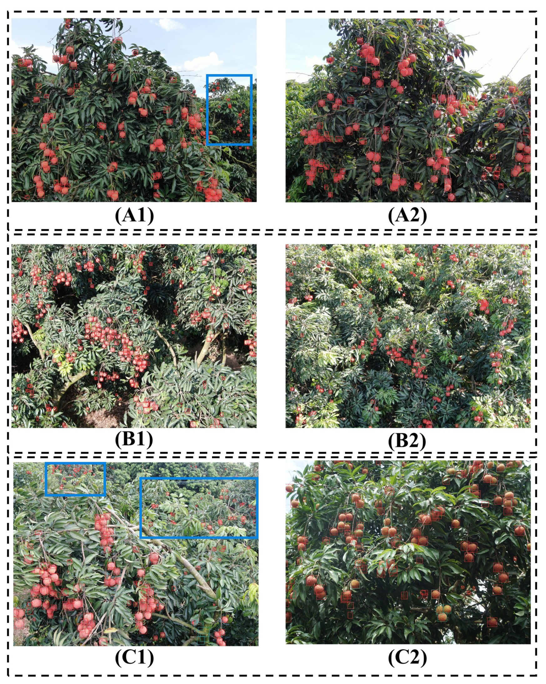 Remotesensing 15 04017 g012 Remotesensing 15 04017 g012