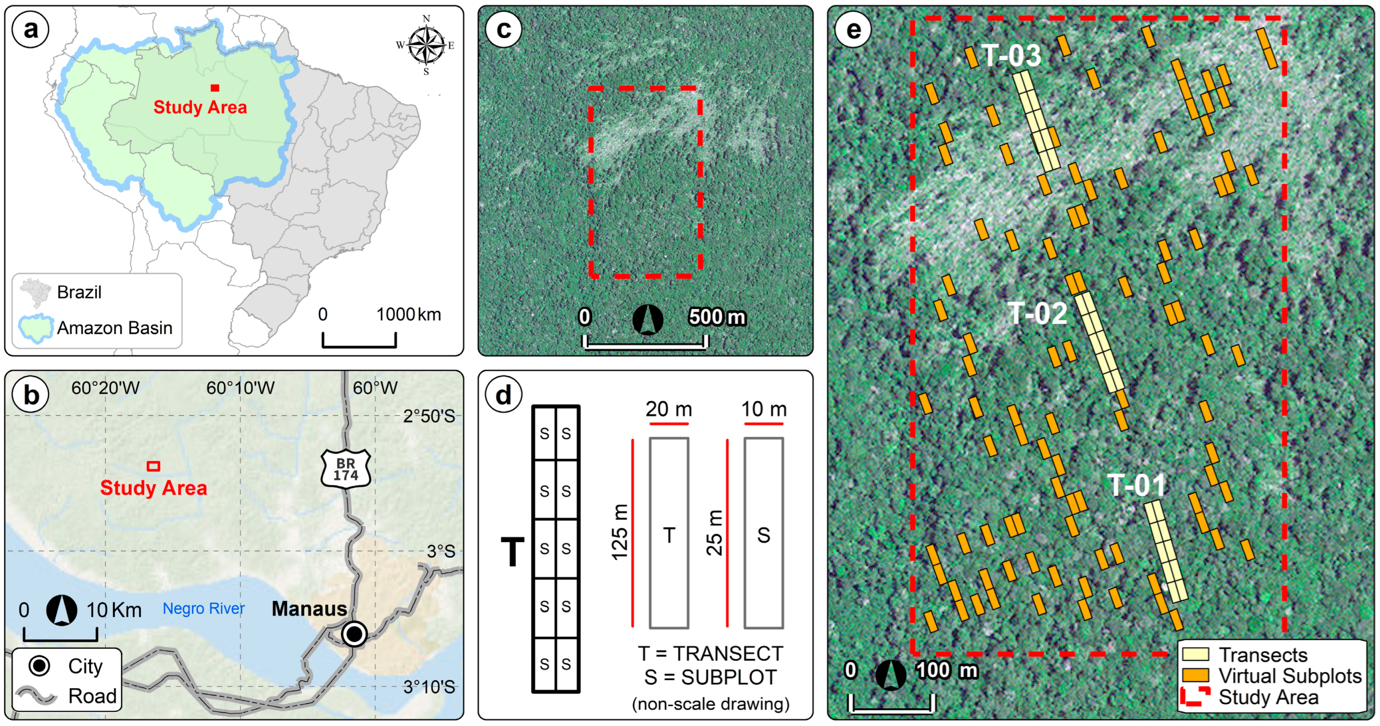 Remote Sensing | Free Full-Text | Sensitivity of Optical Satellites to  Estimate Windthrow Tree-Mortality in a Central Amazon Forest