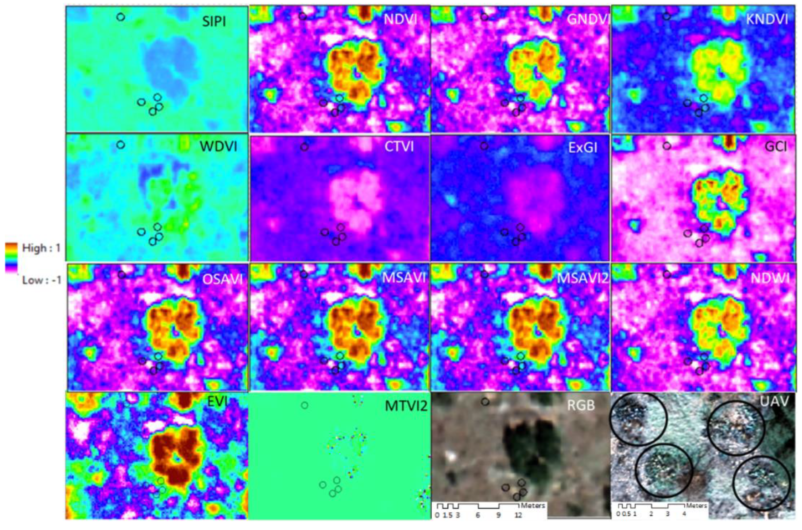 Remotesensing 15 04033 g0a1 Remotesensing 15 04033 g0a1