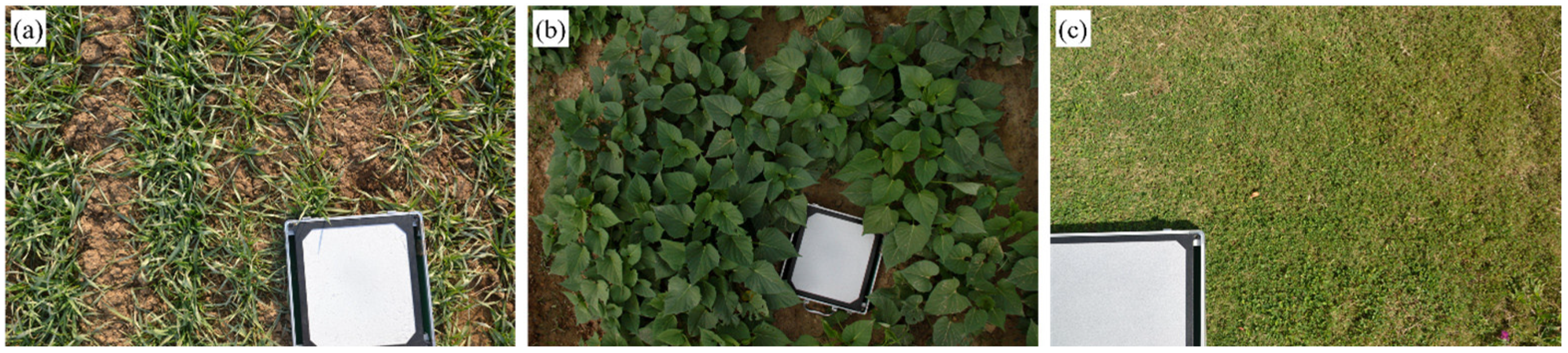 Remotesensing 15 04361 g003