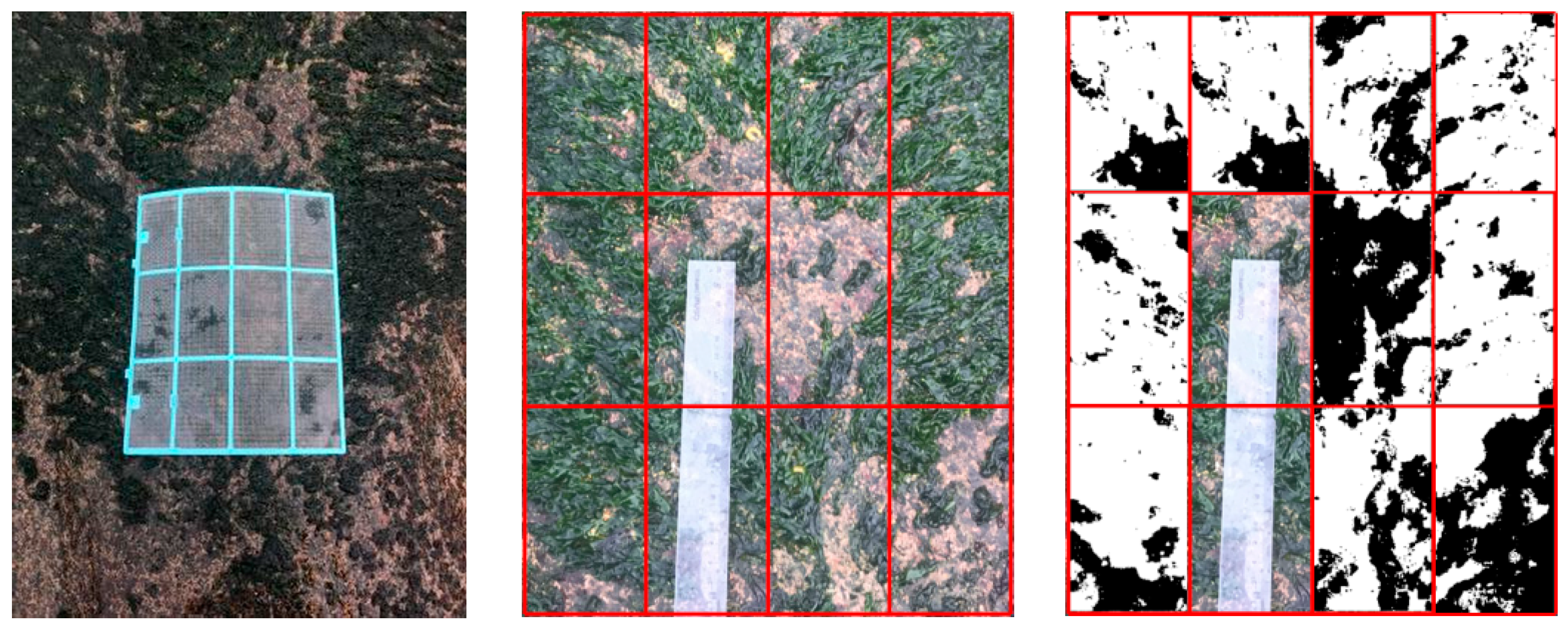 Remotesensing 15 04428 g015 Remotesensing 15 04428 g015