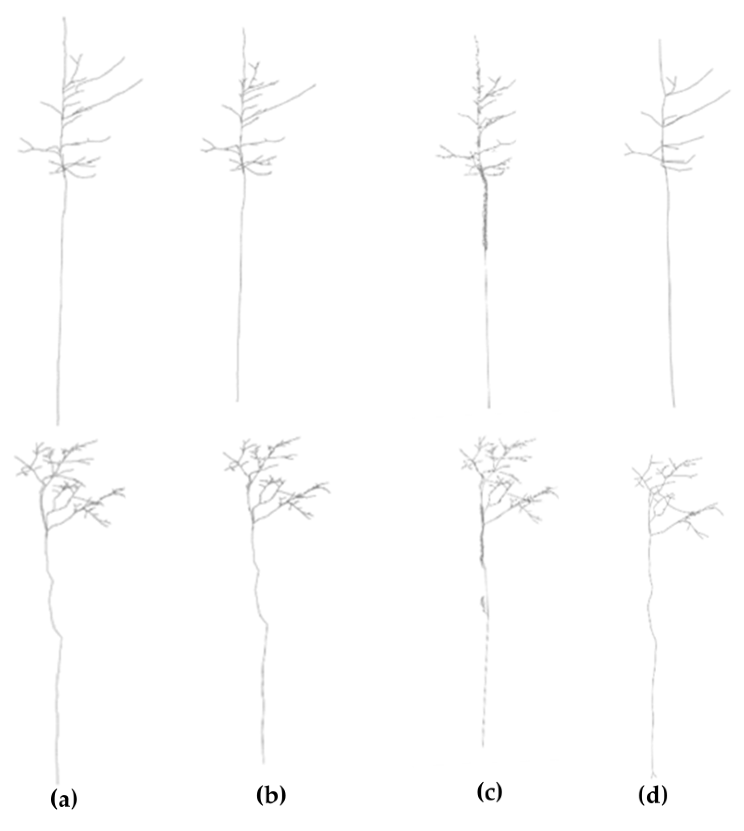 Remotesensing 15 04782 g019