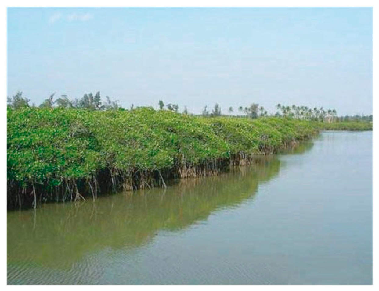 Remotesensing 15 04865 g005