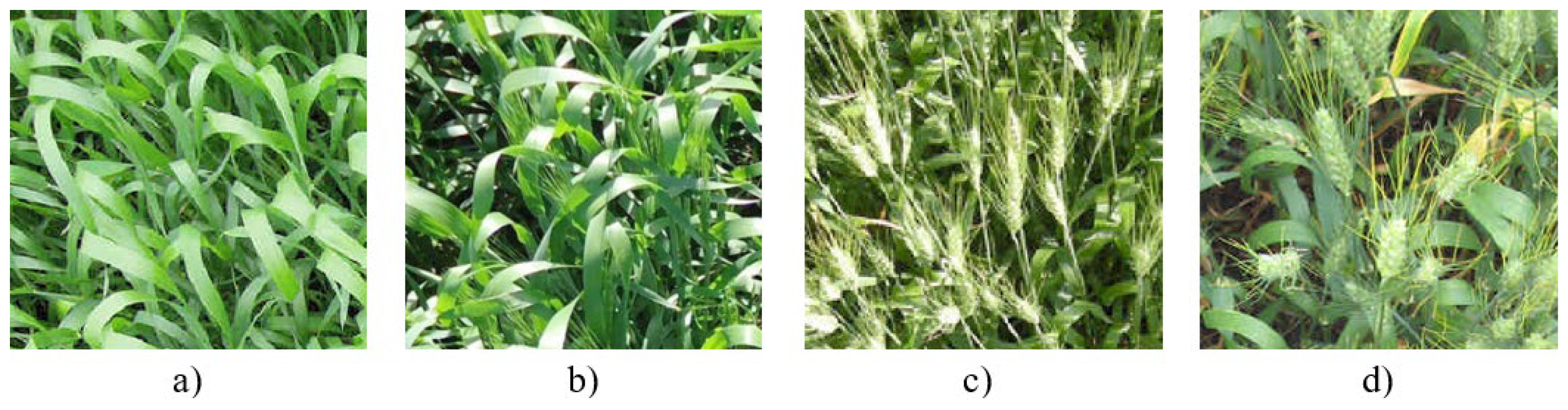 Remotesensing 15 04925 g003