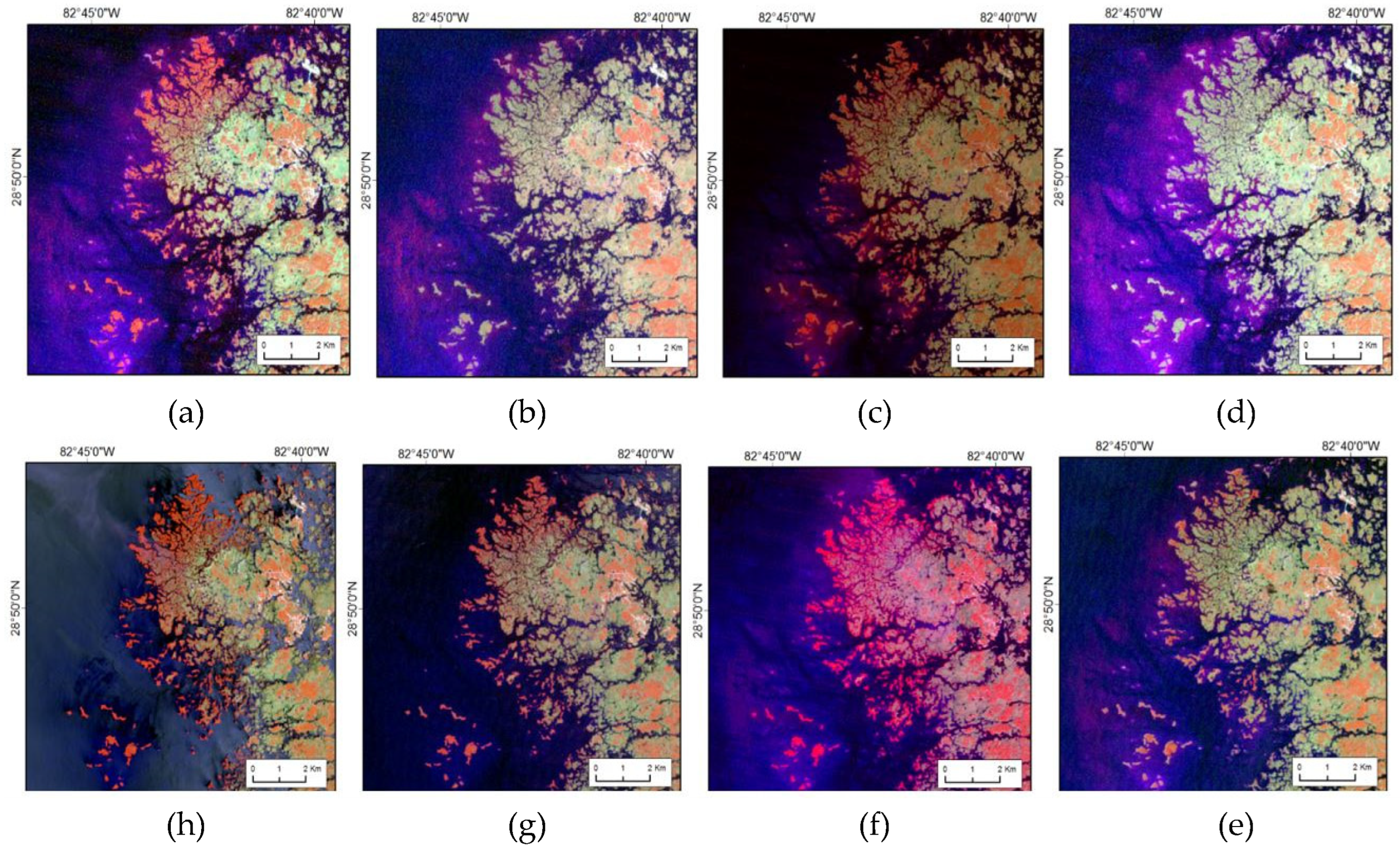 Remotesensing 15 05018 g008