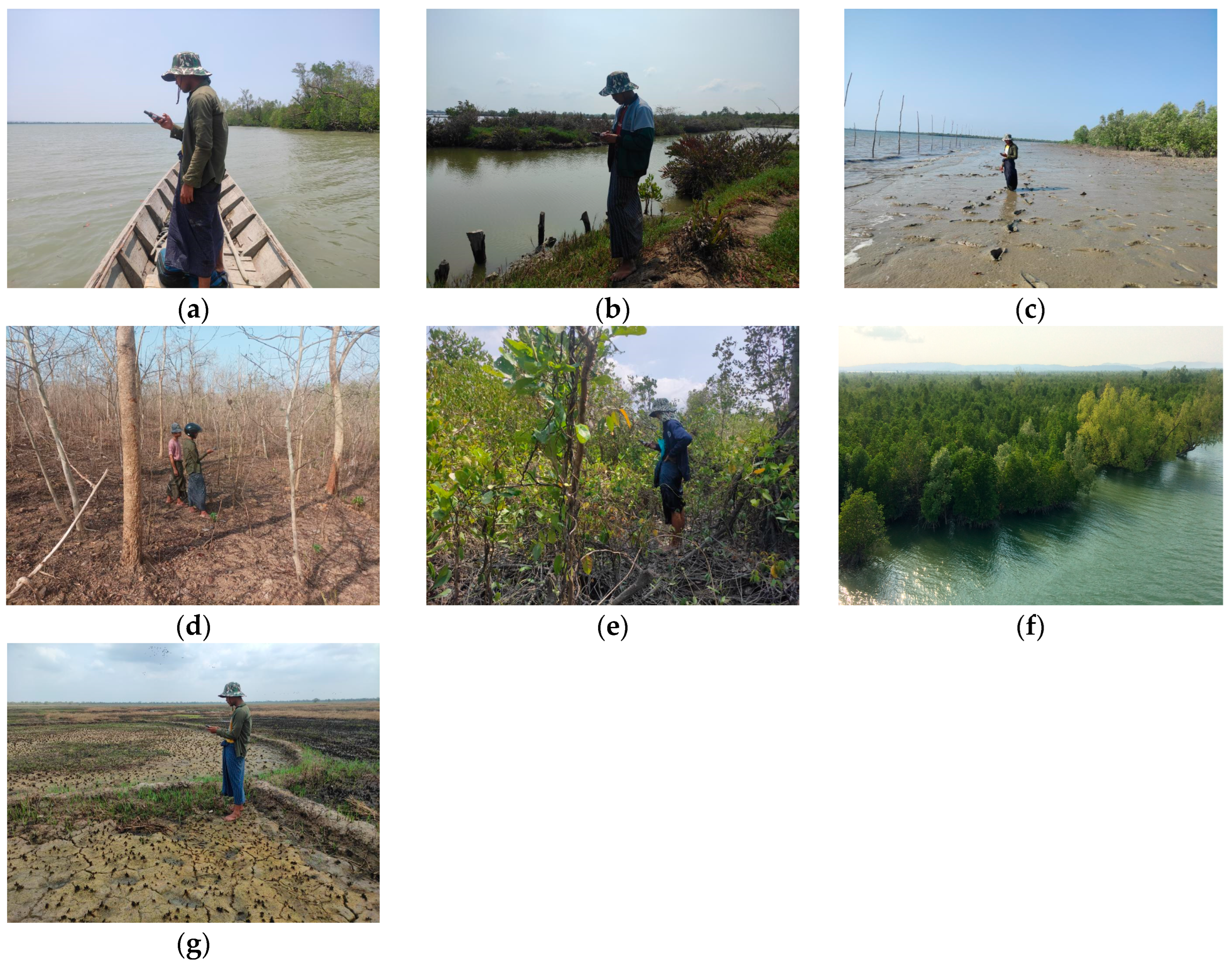 Remotesensing 16 00076 g002