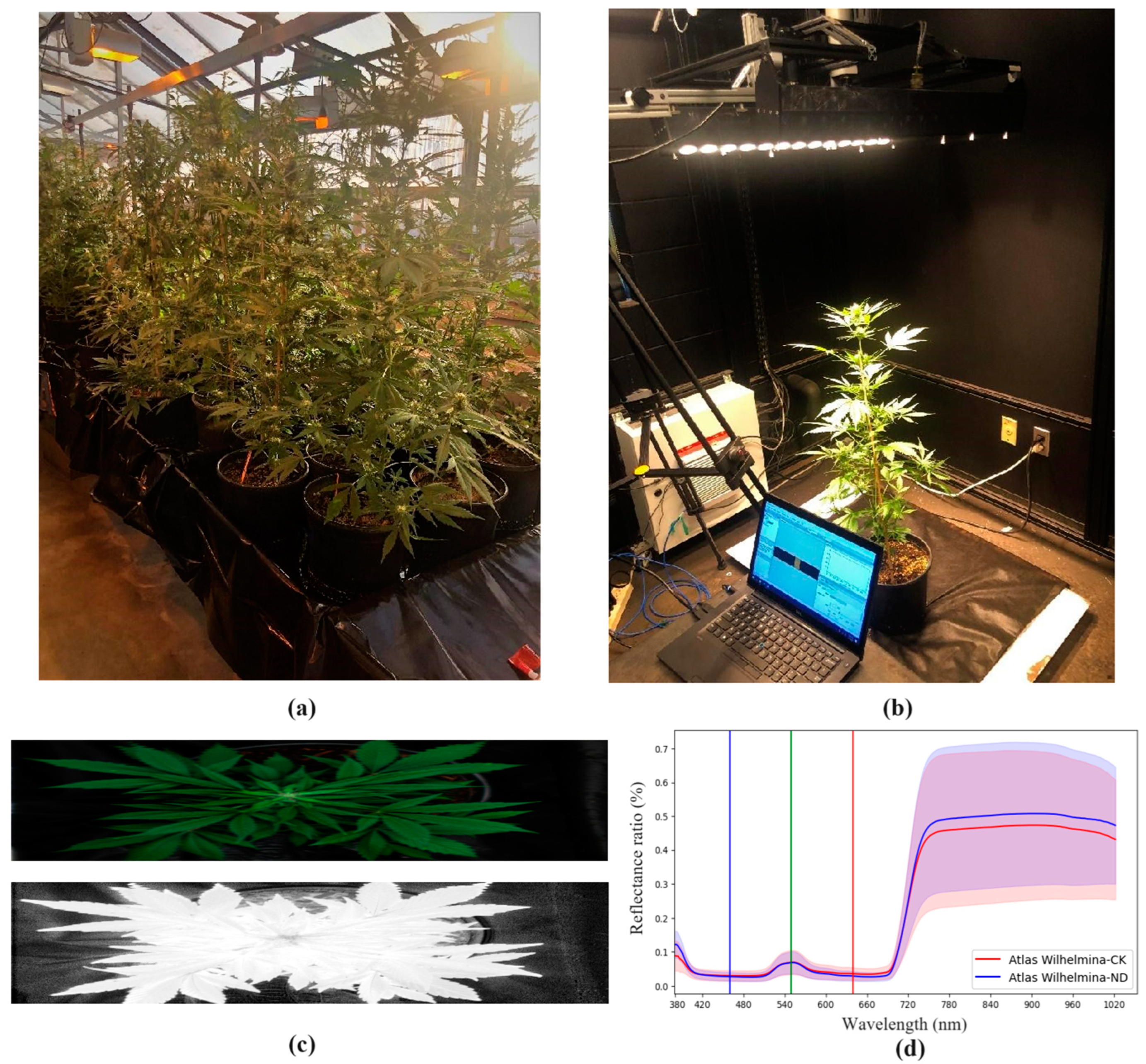 Remote Sensing Free Full Text Noninvasive Early Detection of