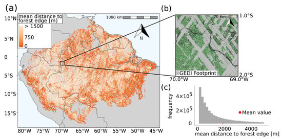 Remote Sensing | Free Full-Text | Edge Effects in Amazon Forests:  Integrating Remote Sensing and Modelling to Assess Changes in Biomass and  Productivity