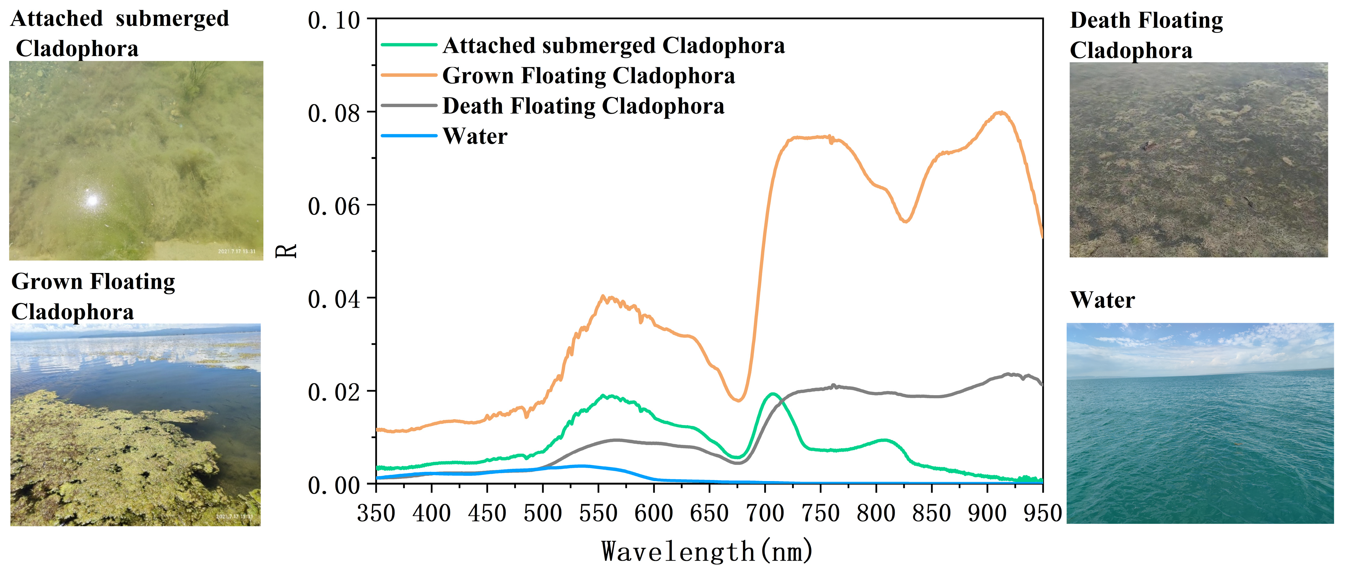 Remotesensing 16 00602 g002