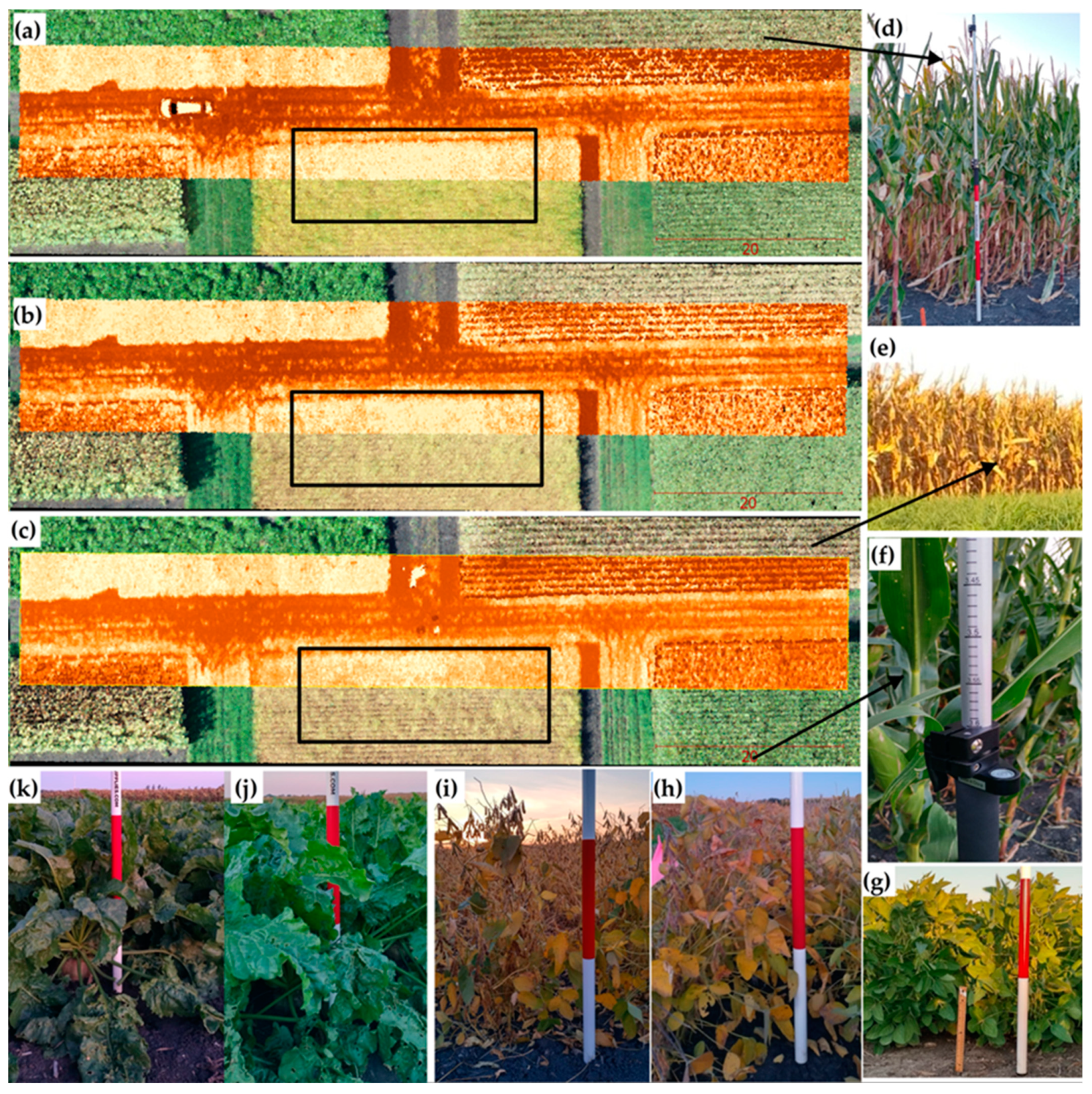 Remotesensing 16 00699 g013