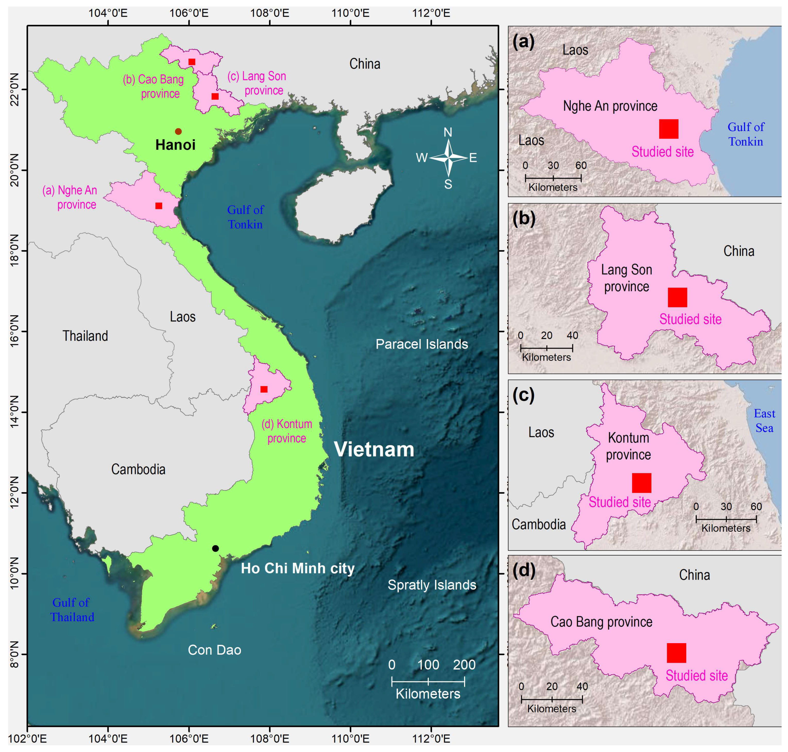 Remotesensing 16 00819 g001