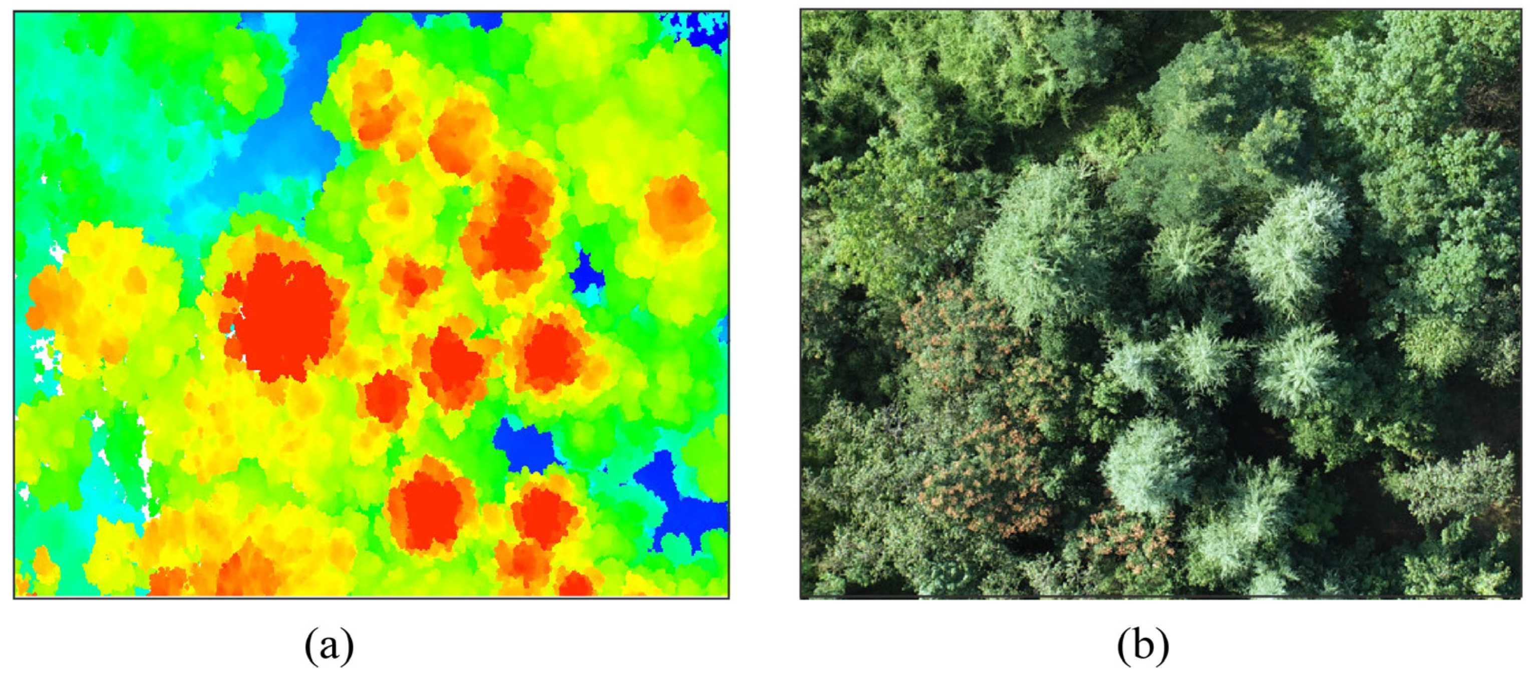 Remotesensing 16 00825 g003