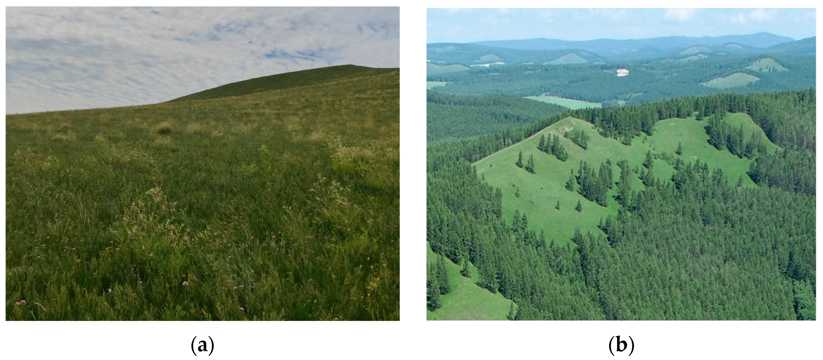 Remotesensing 16 01015 g002