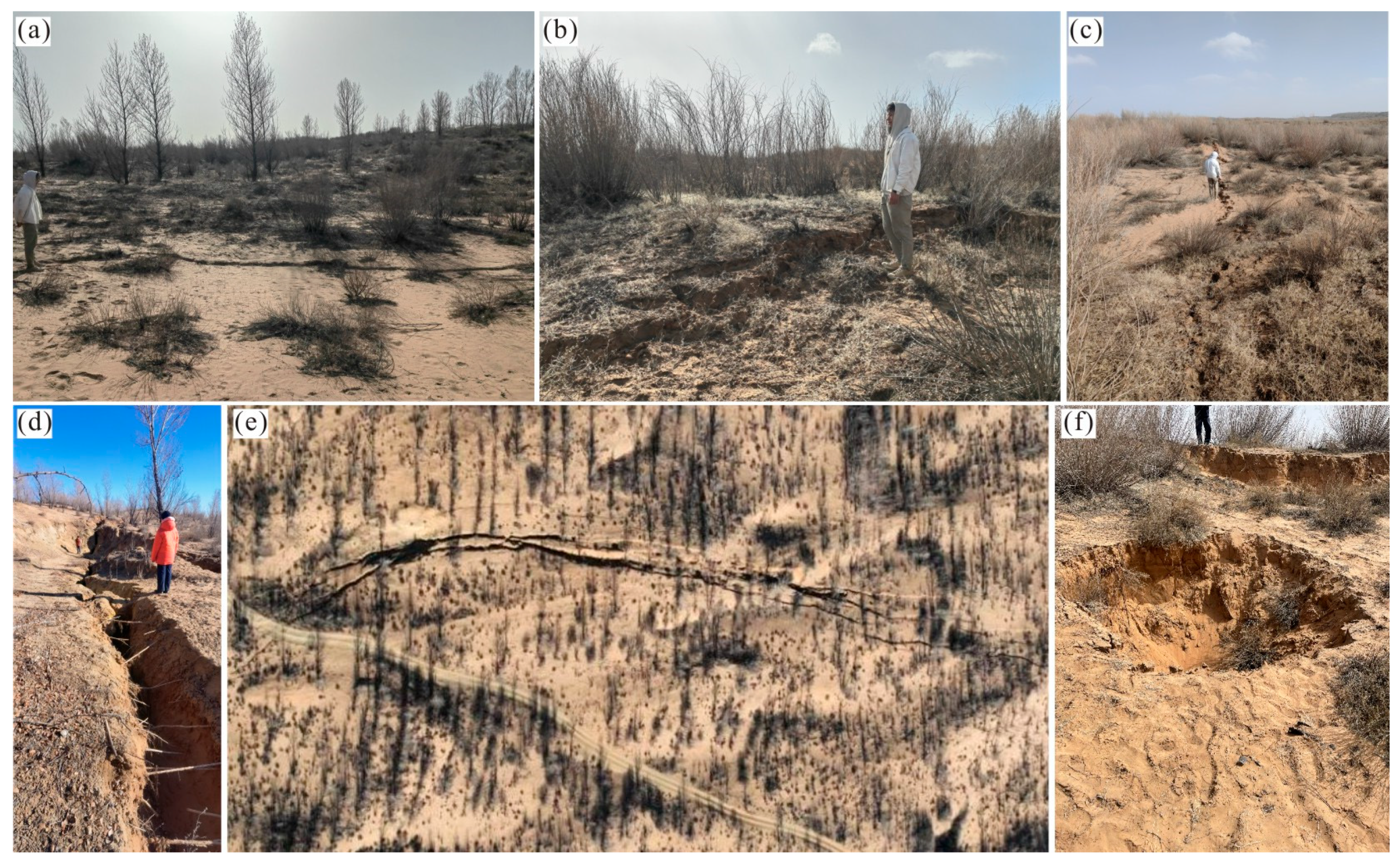 Remotesensing 16 01046 g002