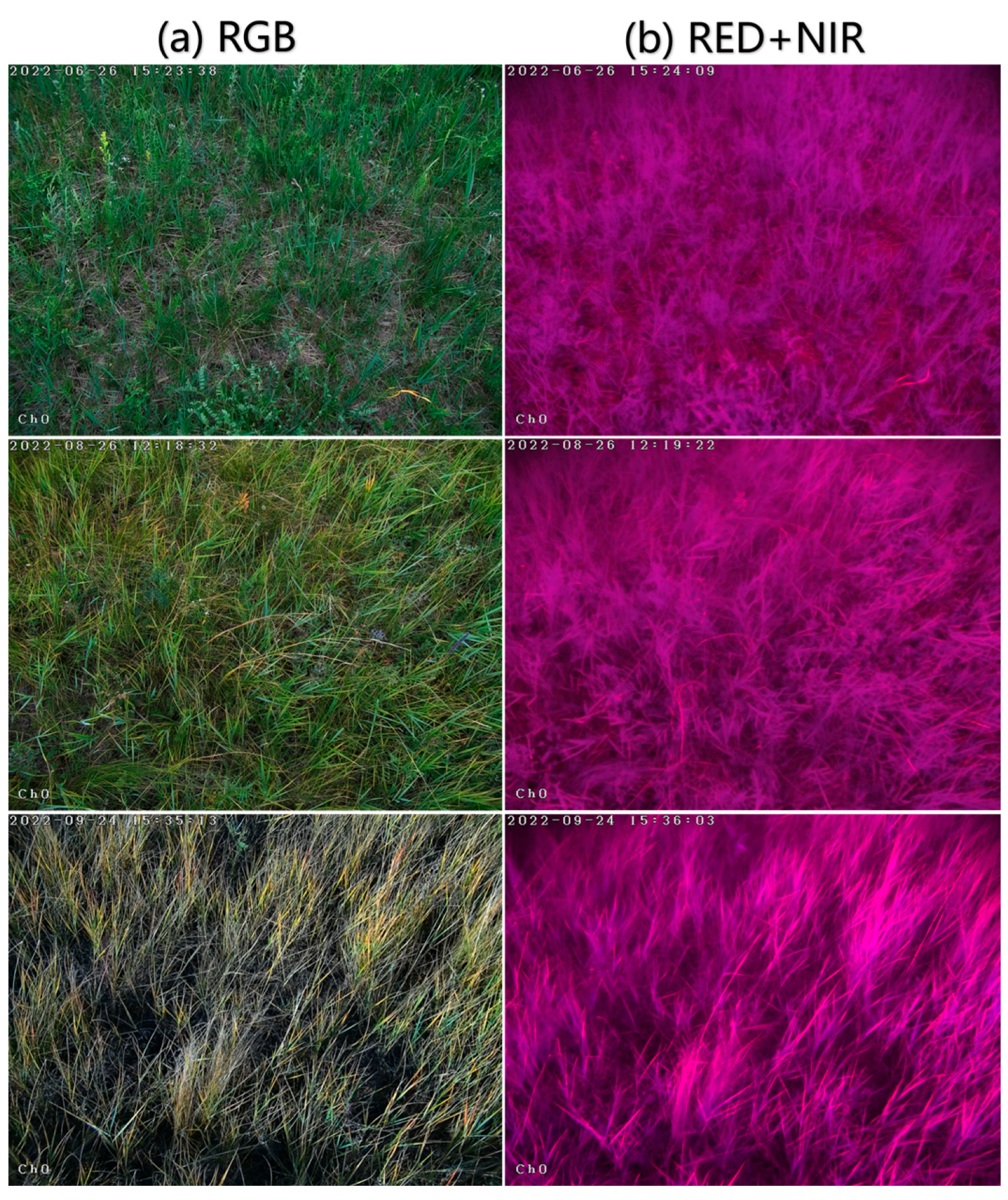 Remotesensing 16 01212 g006