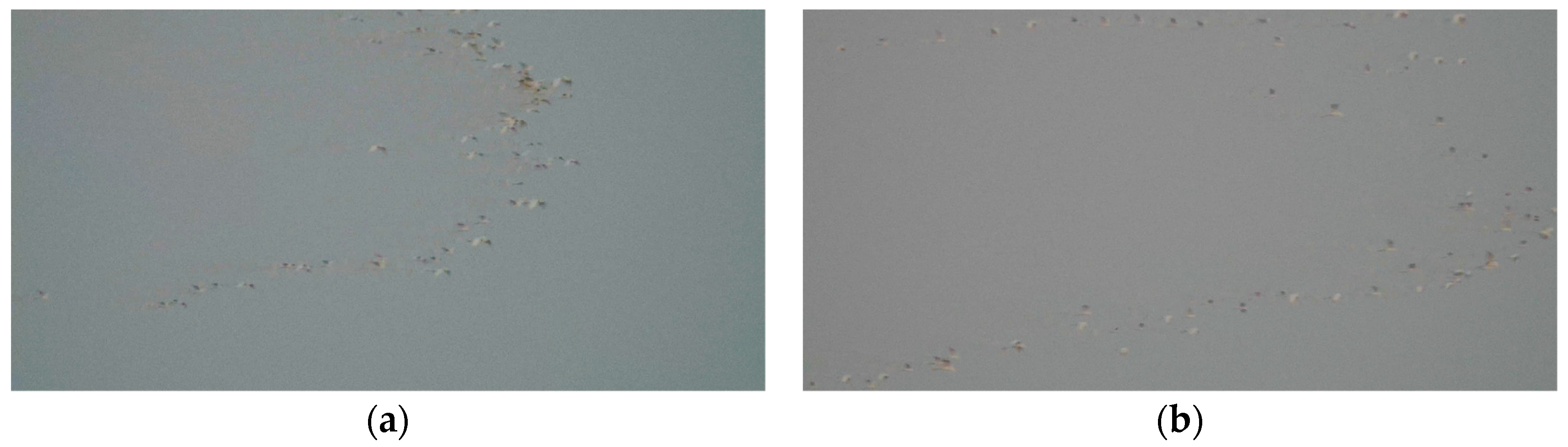 Remotesensing 16 01215 g011 Remotesensing 16 01215 g011