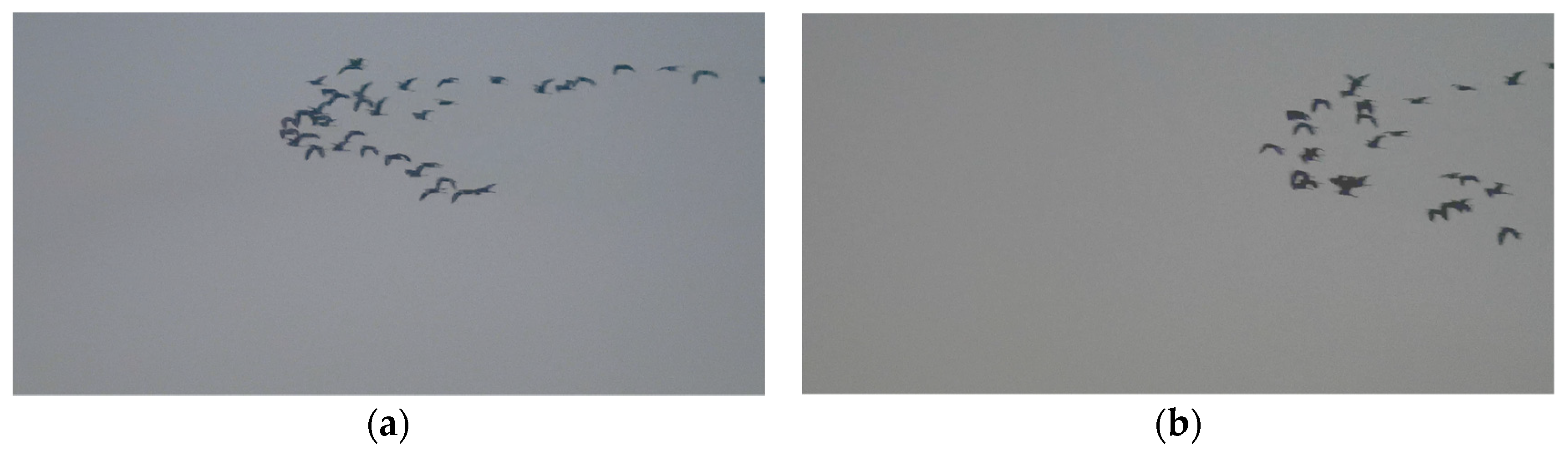 Remotesensing 16 01215 g018 Remotesensing 16 01215 g018