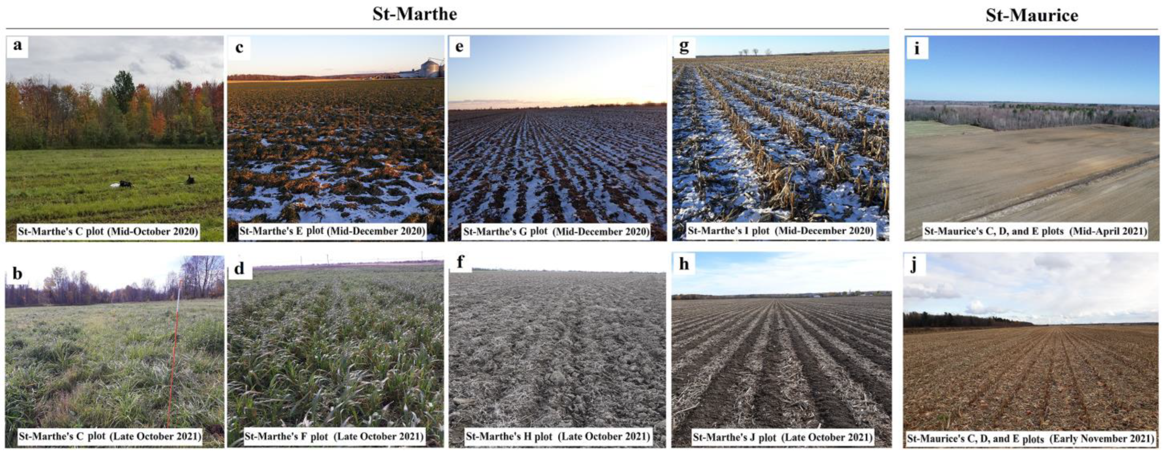 Remotesensing 16 01294 g002