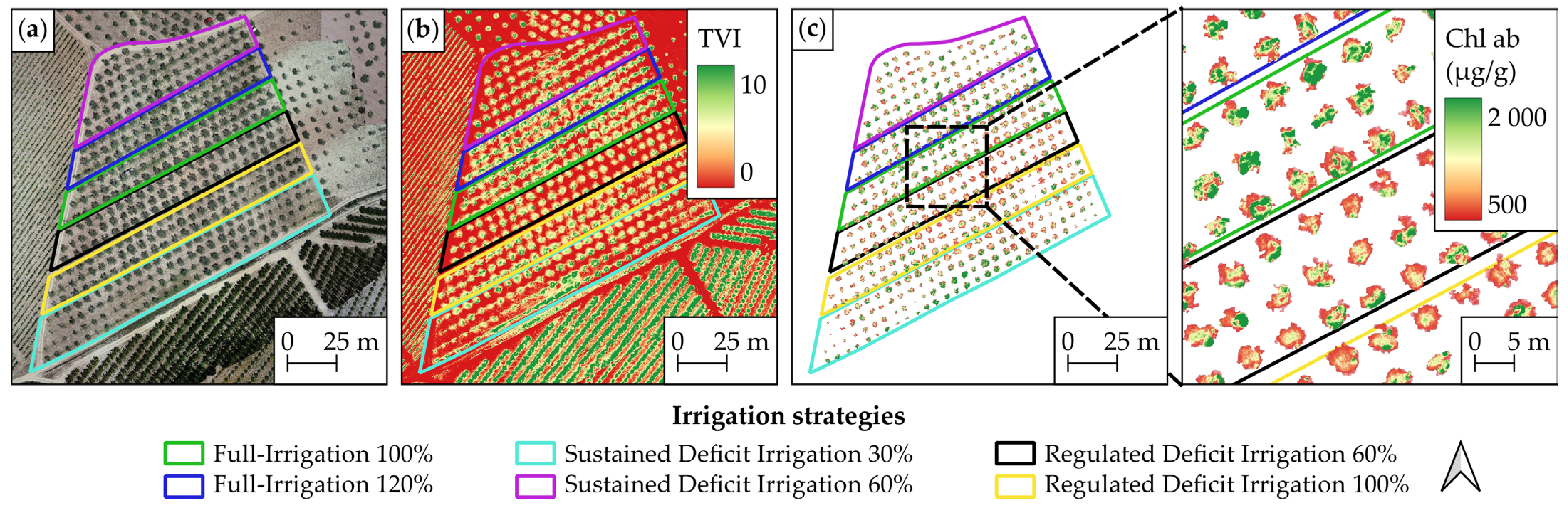 Remotesensing 16 01324 g010