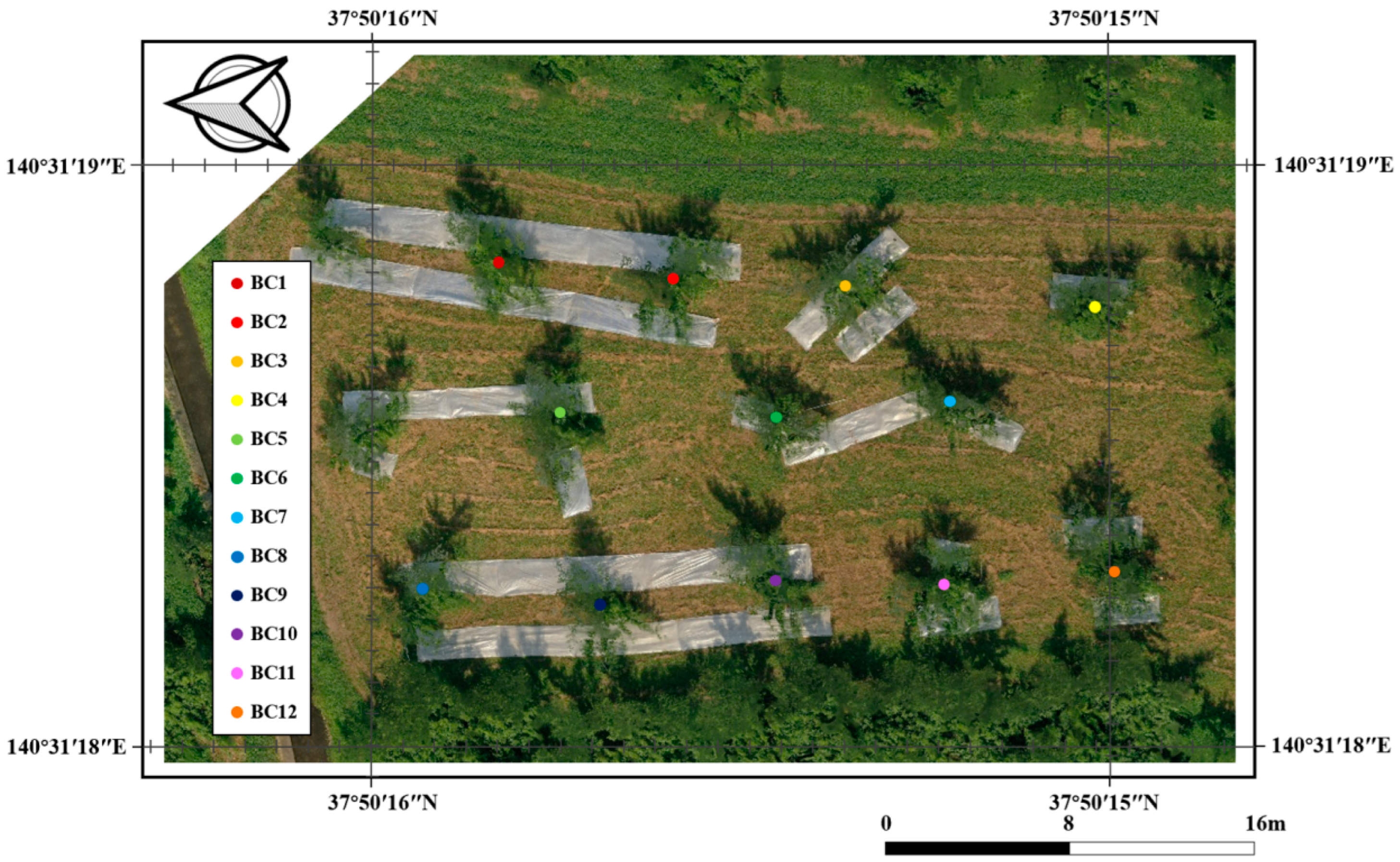 Remotesensing 16 01570 g001