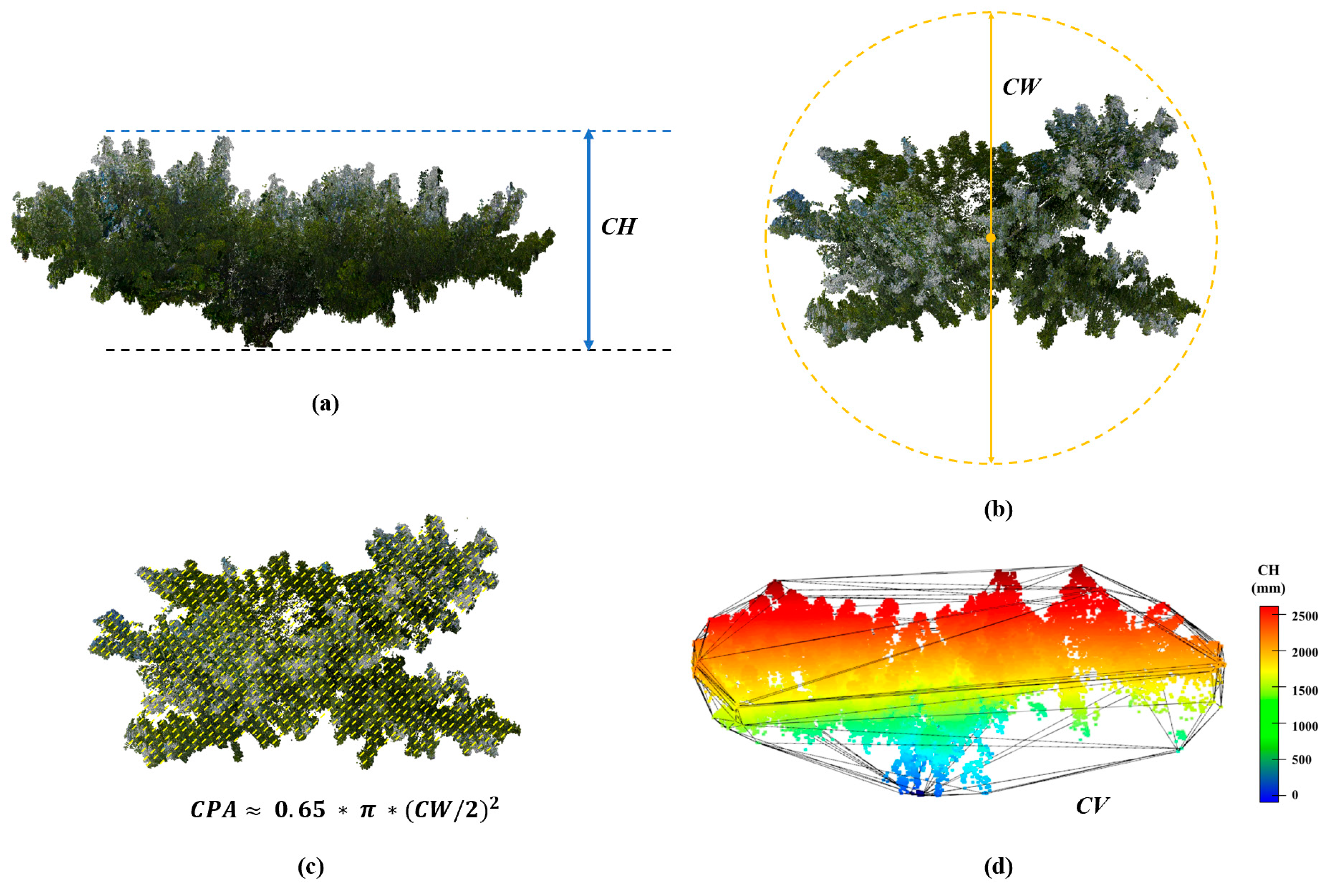 Remotesensing 16 01570 g011