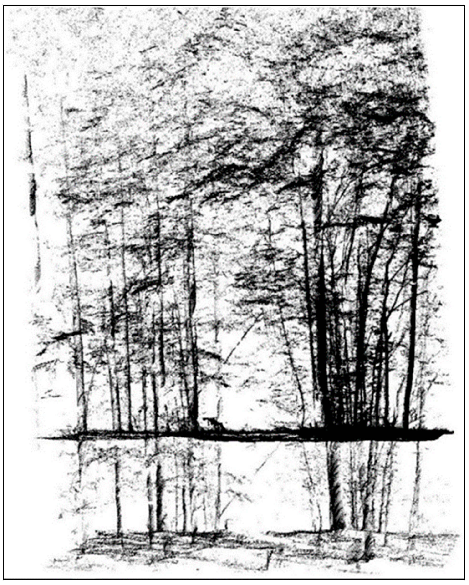 Remotesensing 16 01734 g005