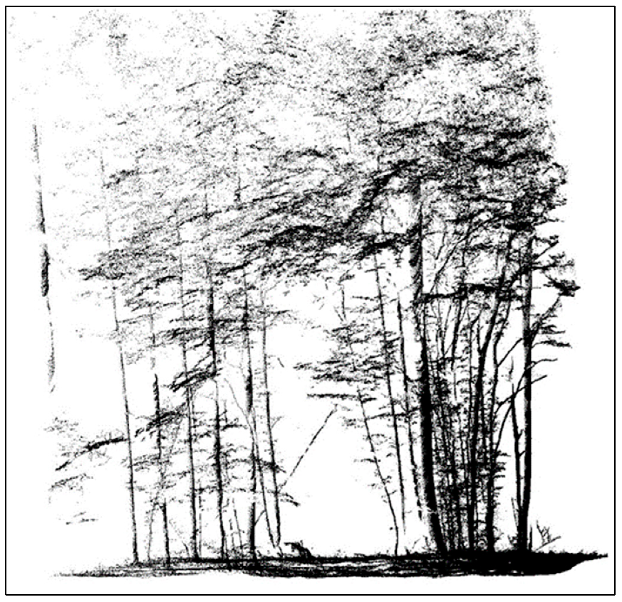 Remotesensing 16 01734 g006a