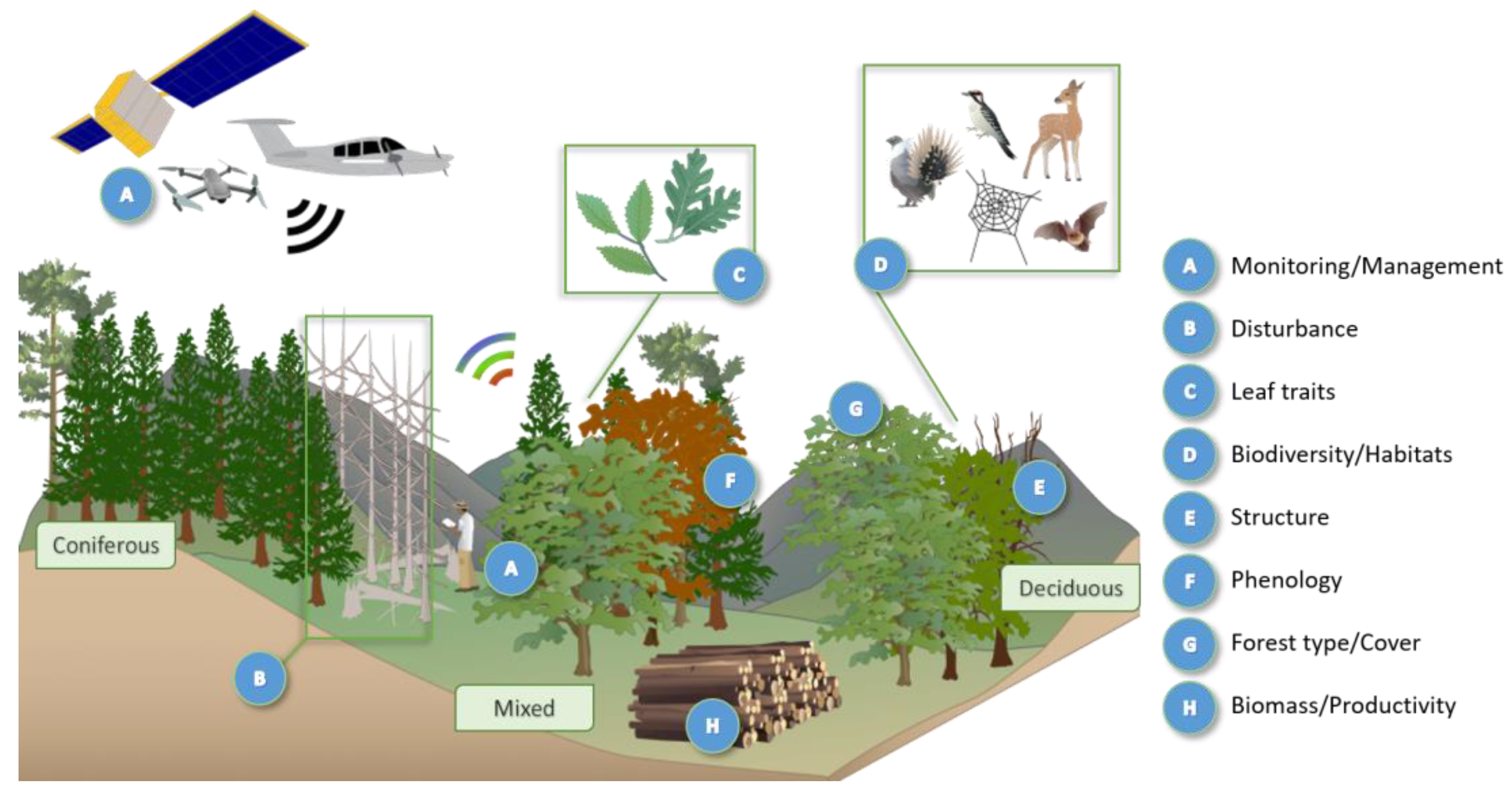 Remotesensing 16 01805 g002 Remotesensing 16 01805 g002