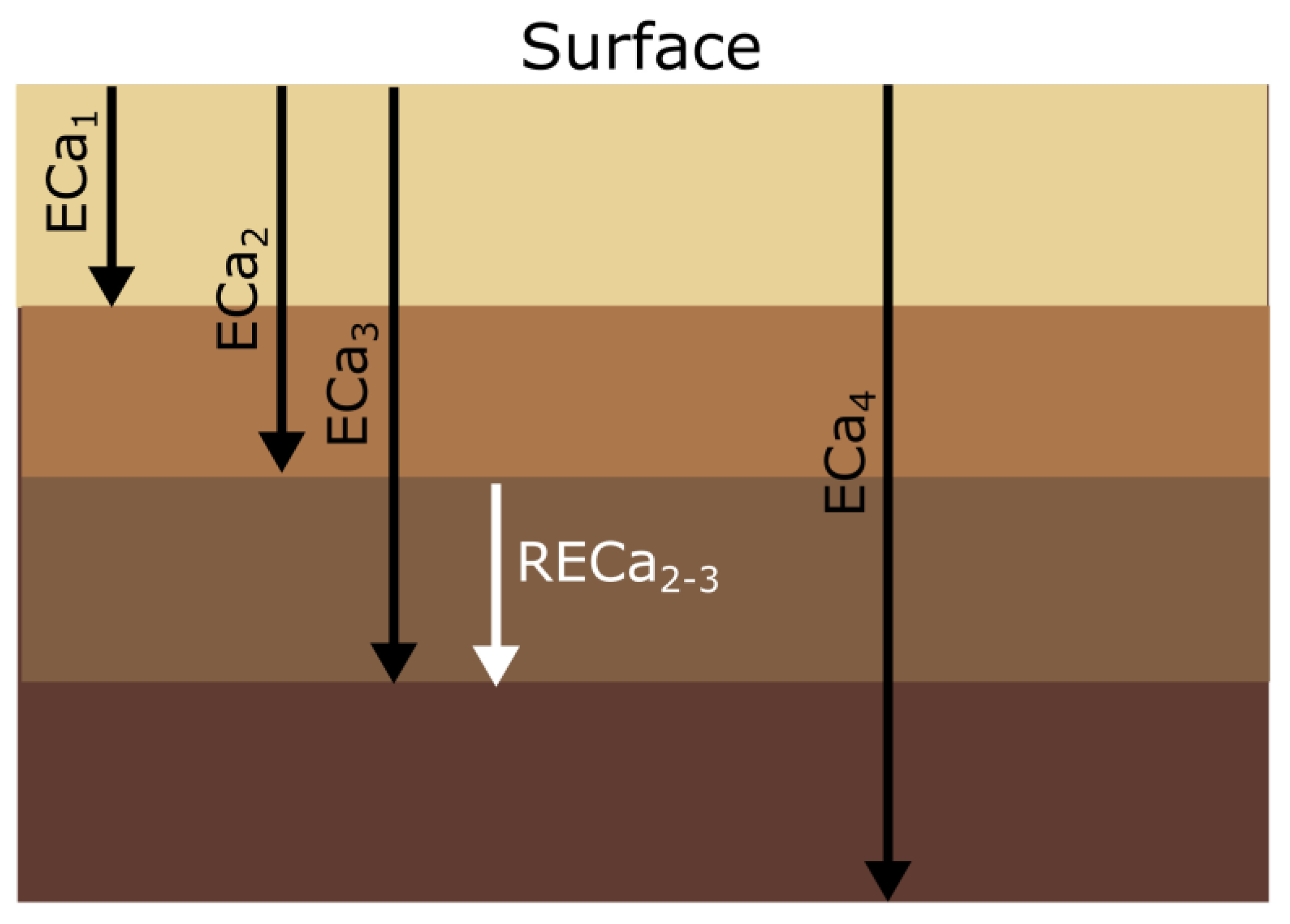 Remotesensing 16 01978 g003