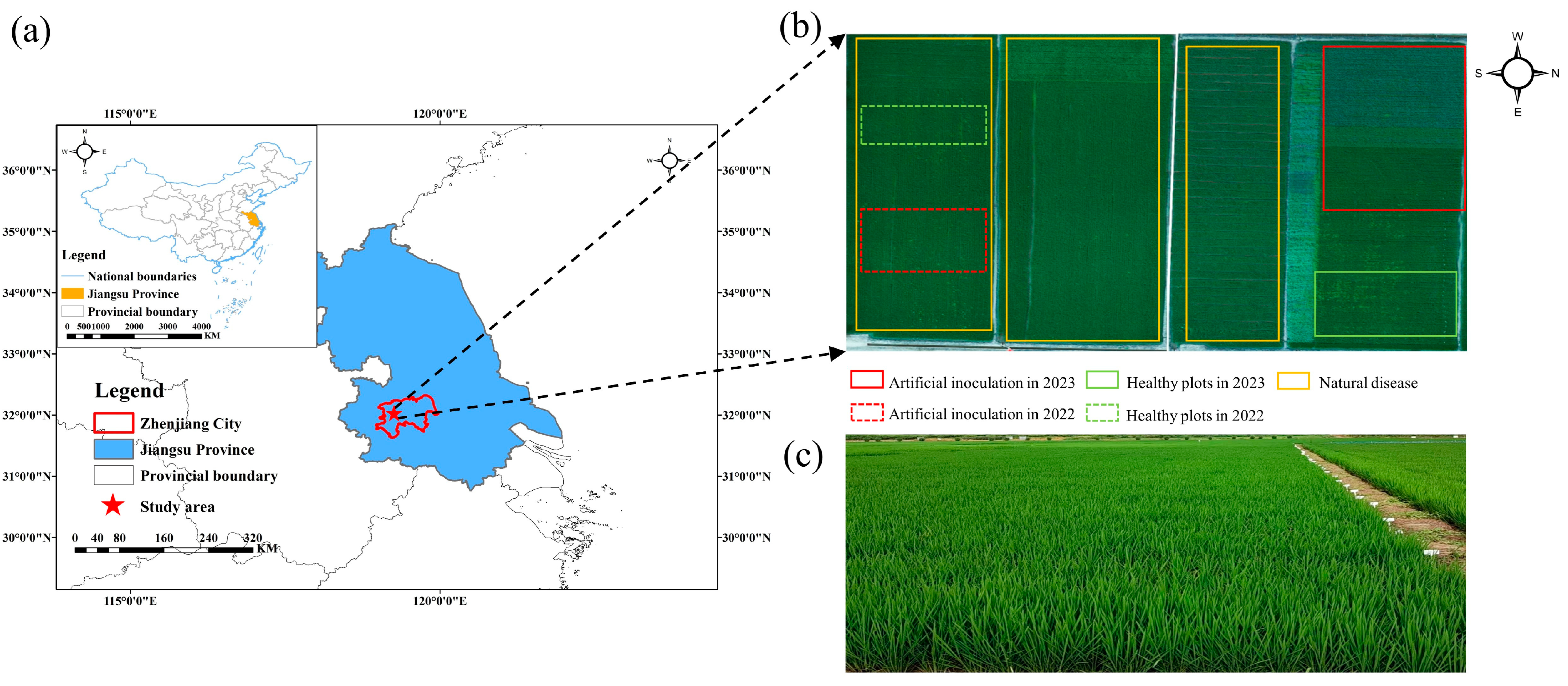 Remotesensing 16 02047 g001