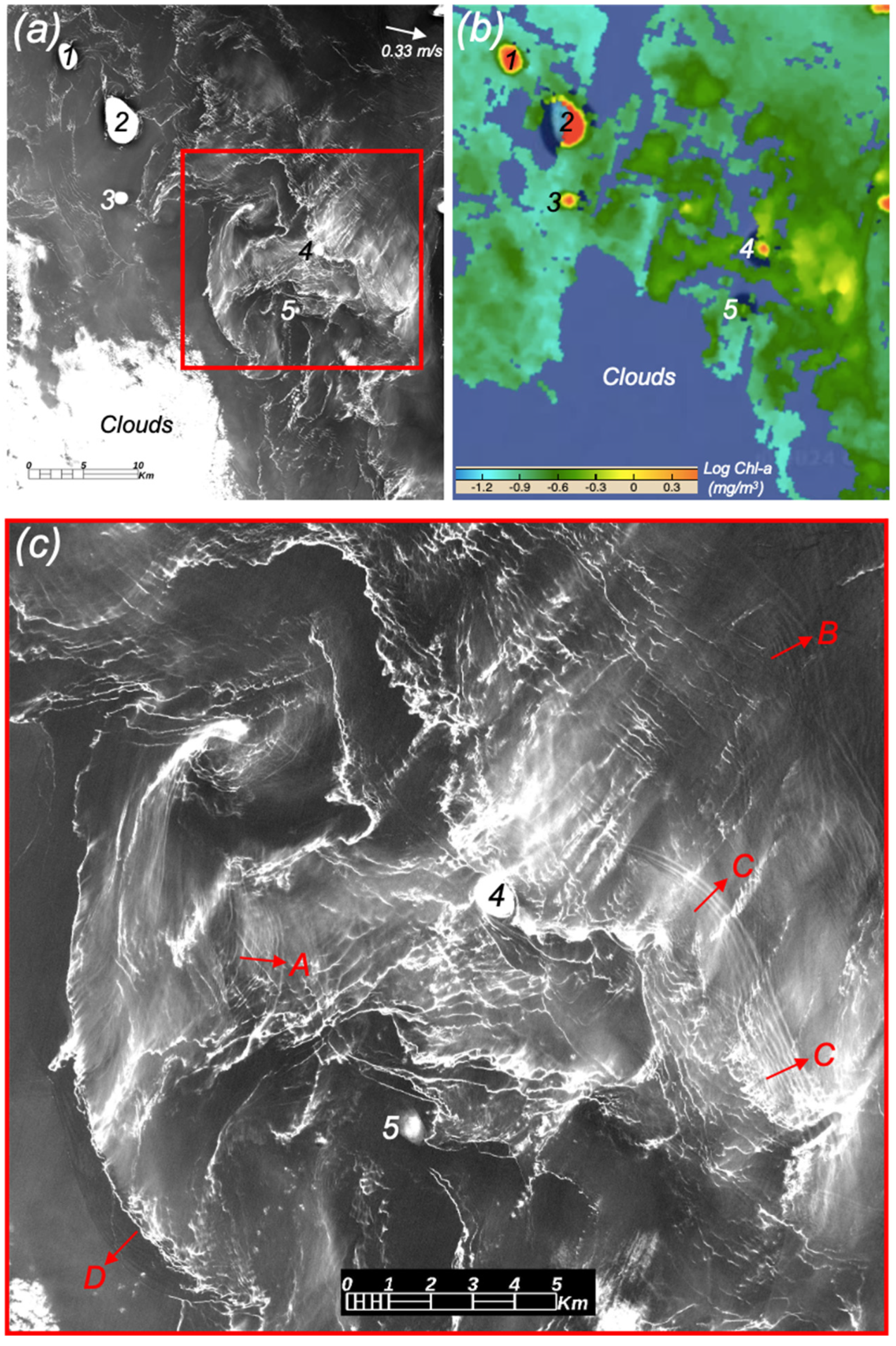 Remotesensing 16 02180 g008