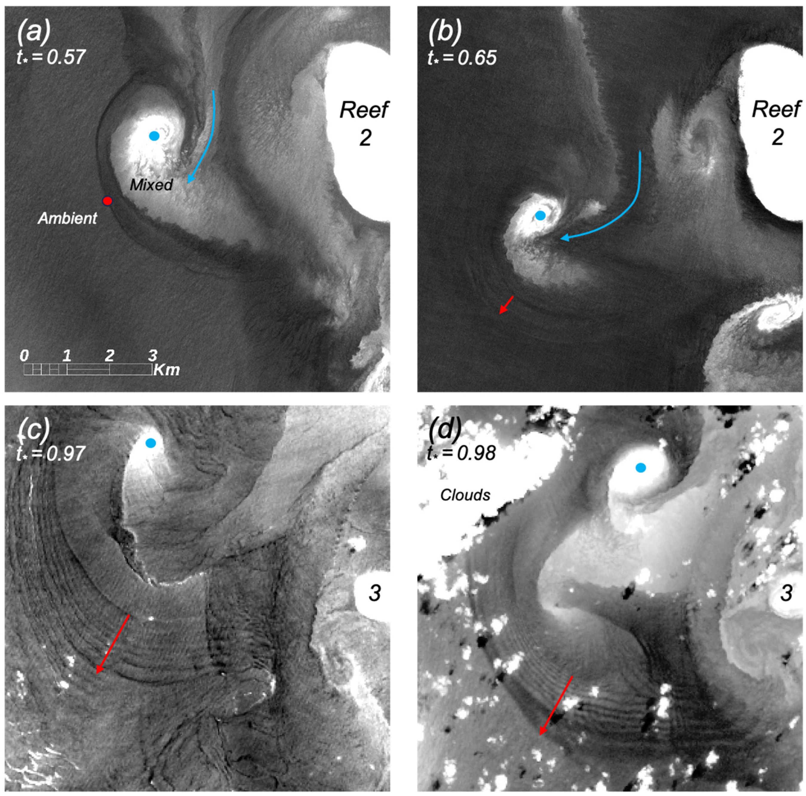 Remotesensing 16 02180 g009