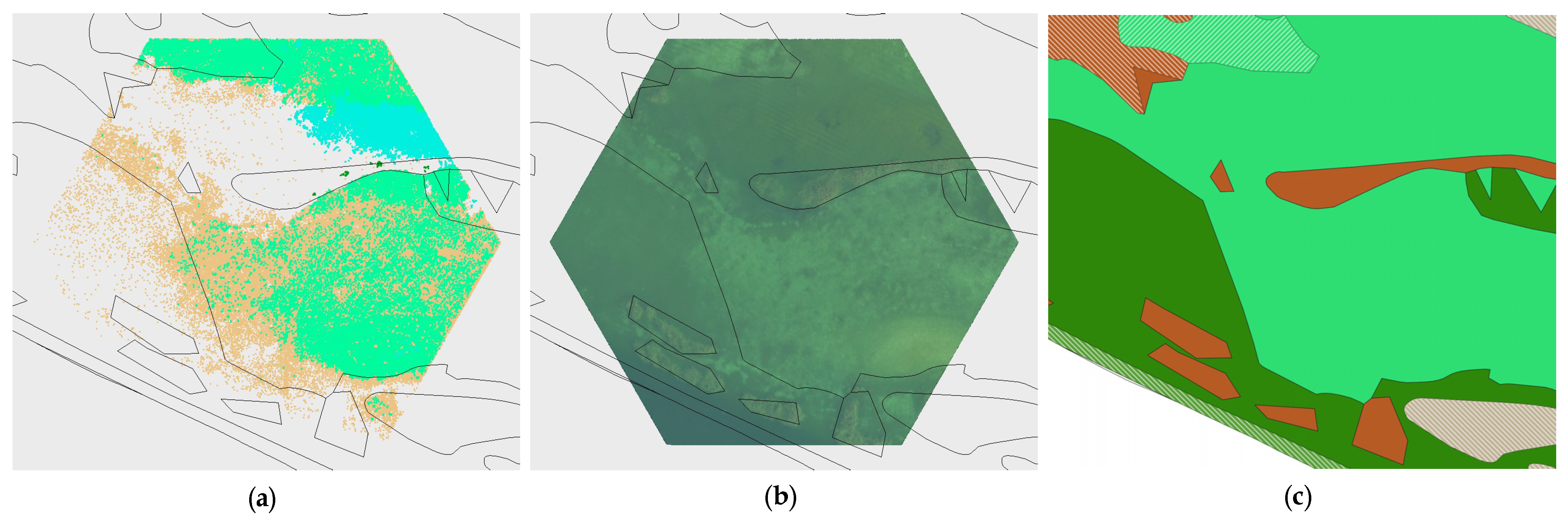 Remotesensing 16 02257 g0a16 Remotesensing 16 02257 g0a16