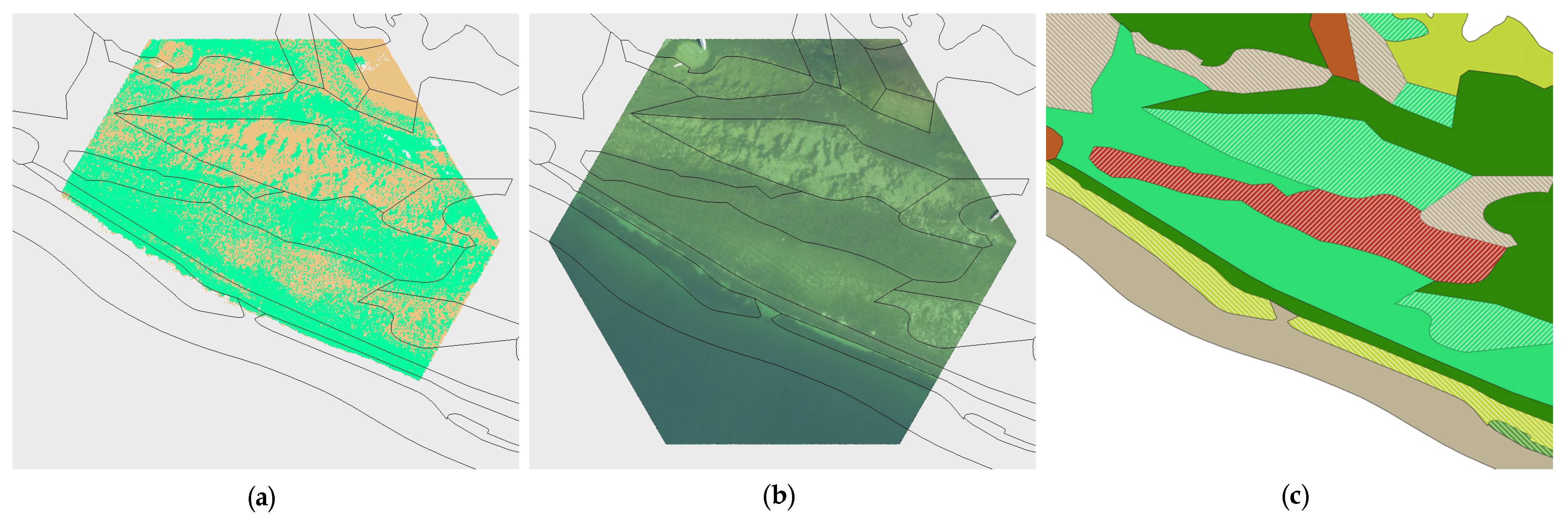Remotesensing 16 02257 g0a4 Remotesensing 16 02257 g0a4