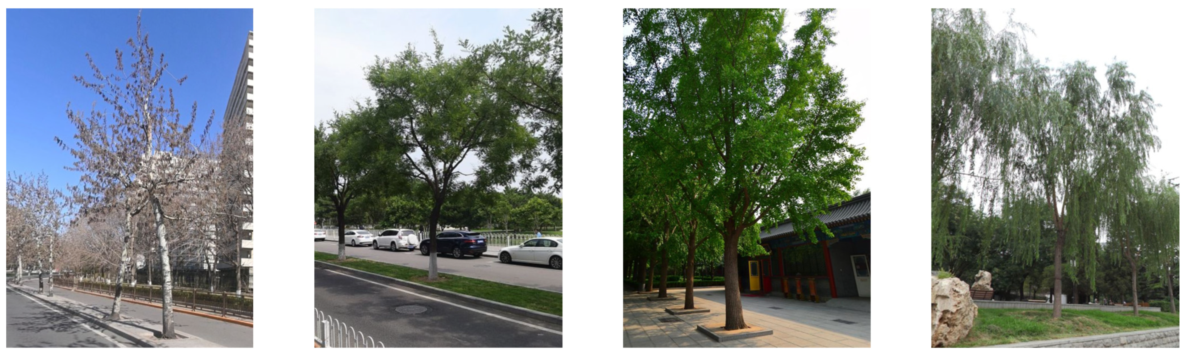 Remotesensing 16 02351 g004