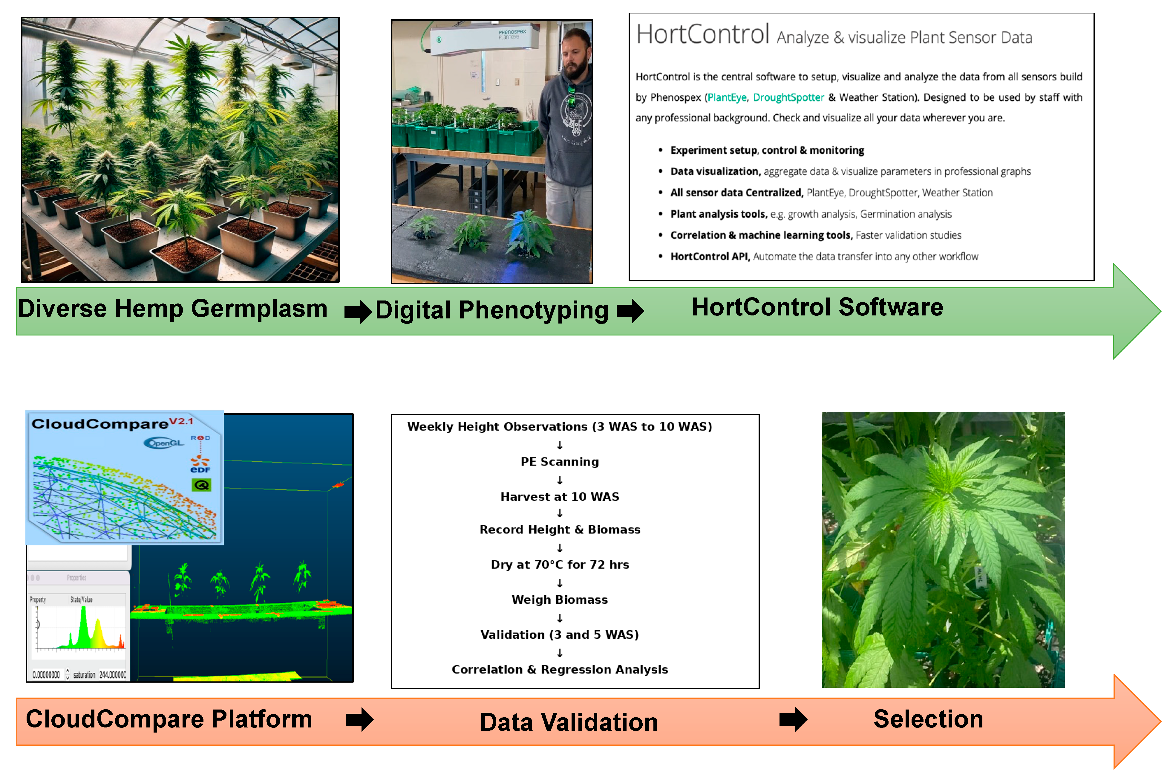 Remotesensing 16 02375 g002