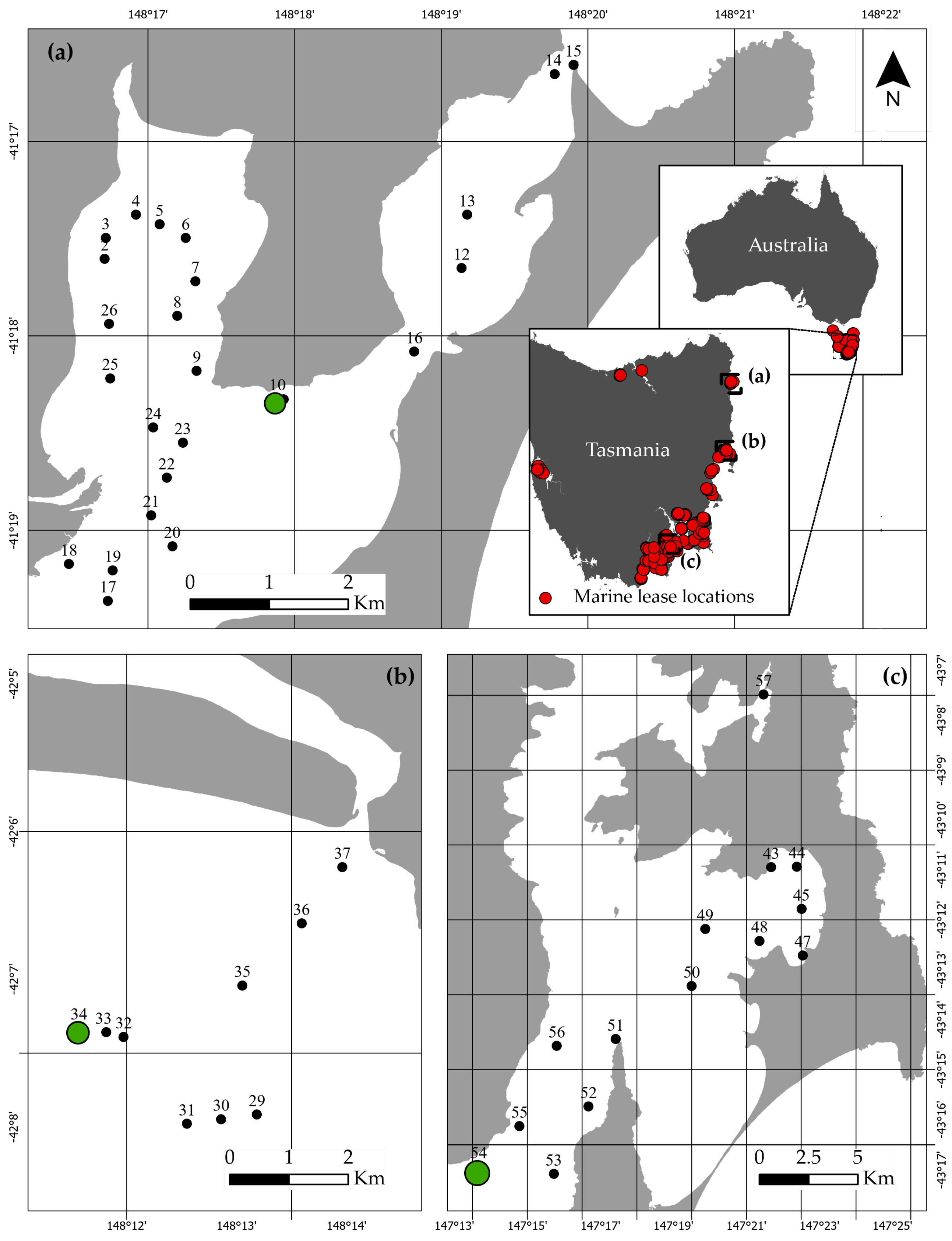 Remotesensing 16 02389 g002