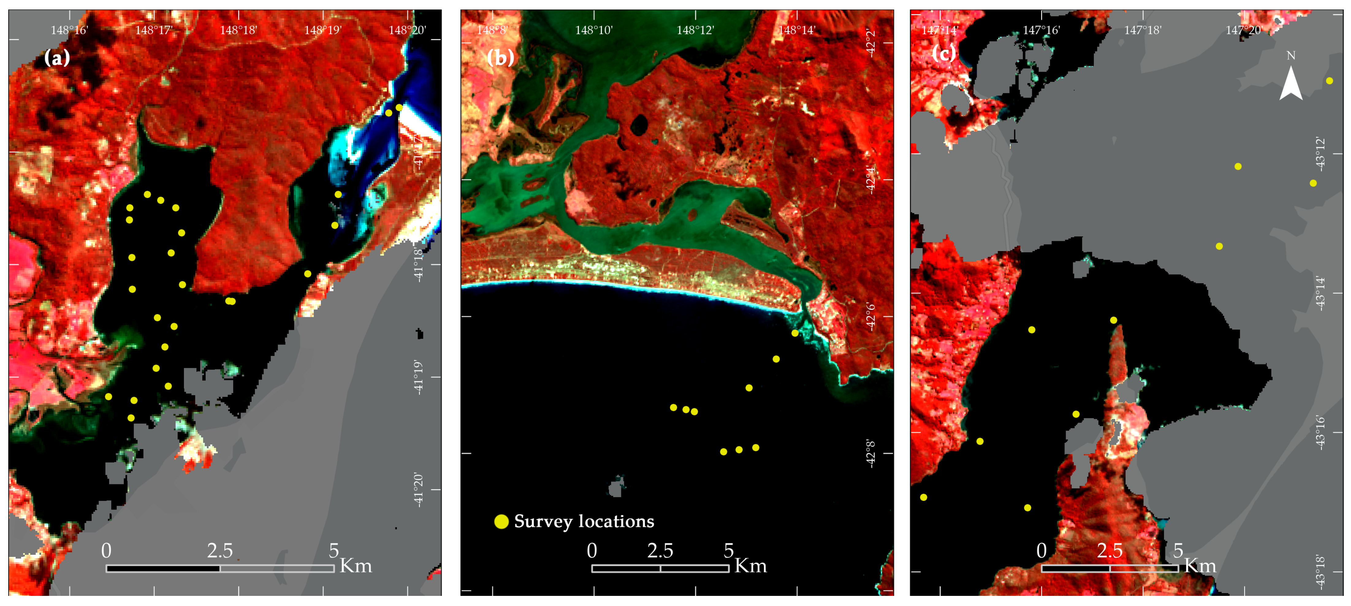 Remotesensing 16 02389 g004