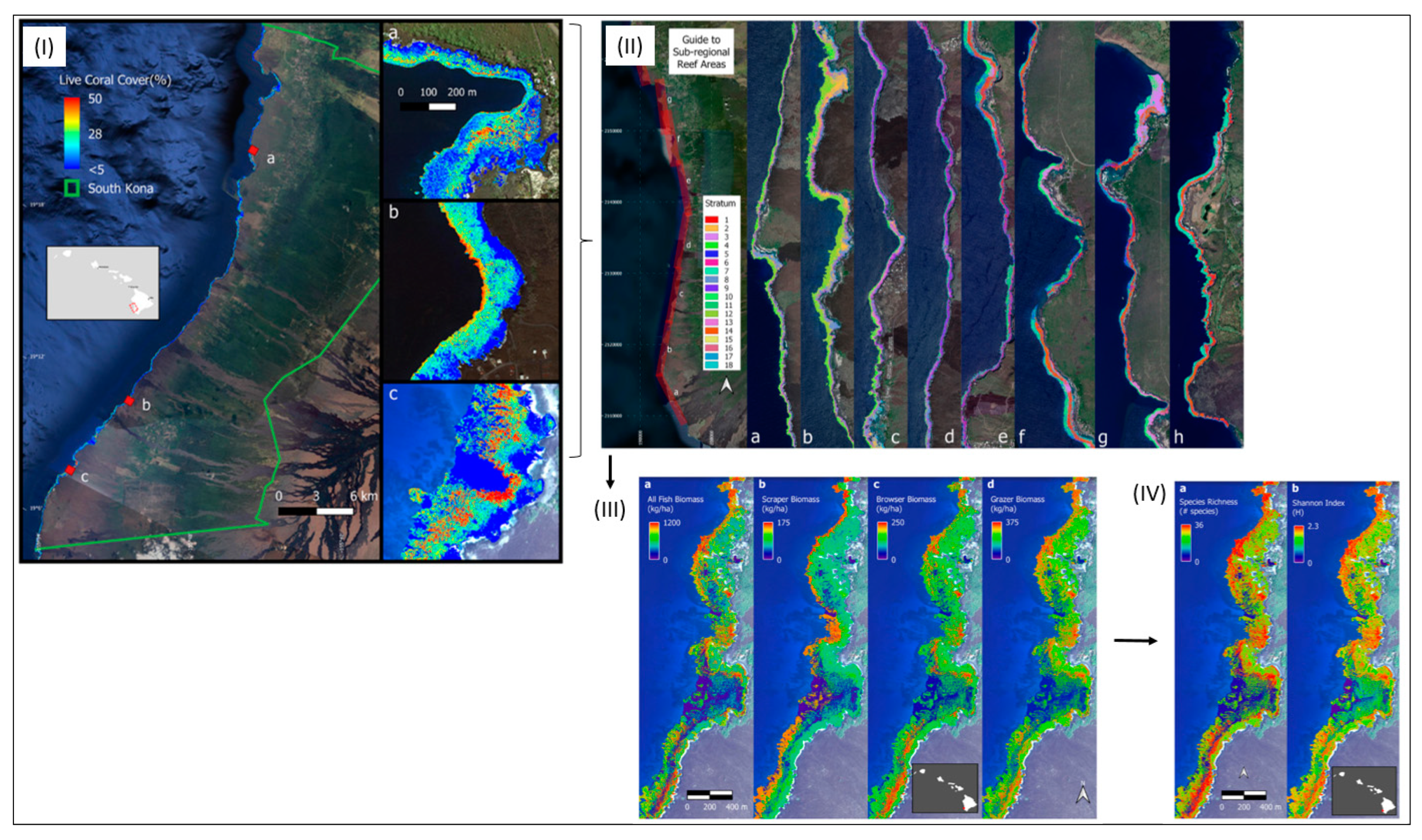 Remotesensing 16 02425 g008